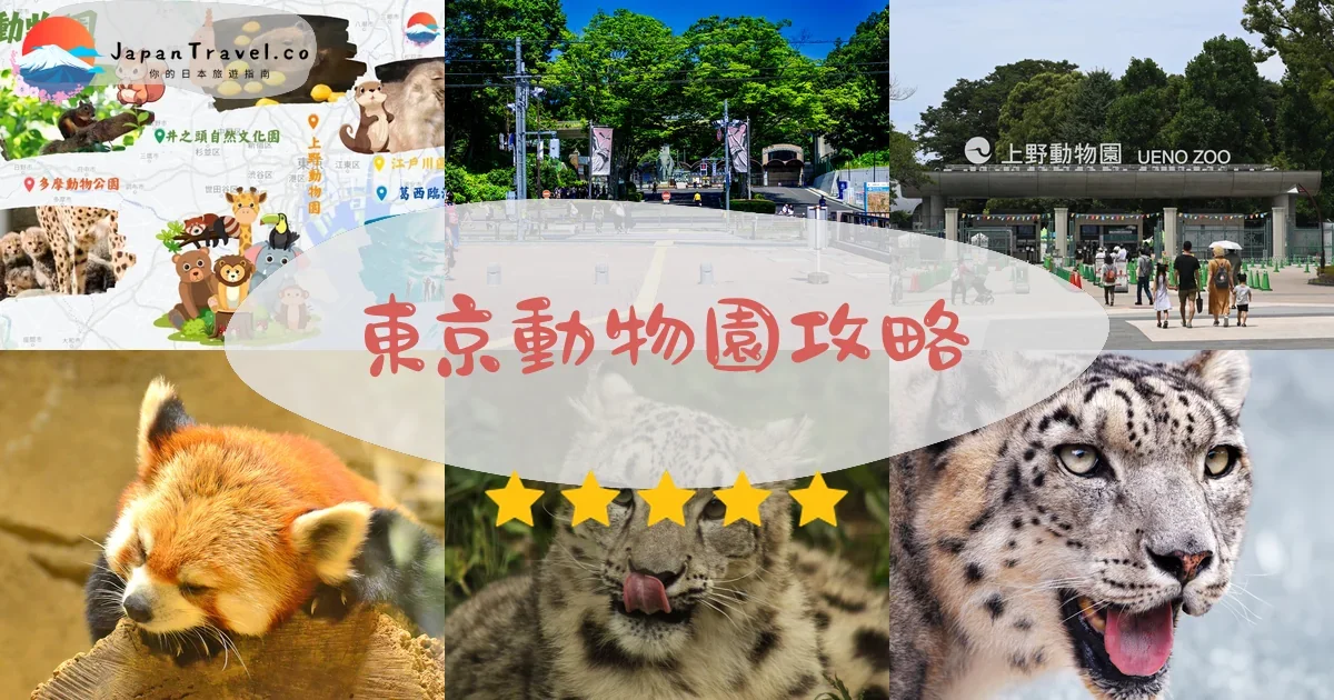 東京景點東京動物園攻略 - 完整遊覽指南 | JapanTravel.co