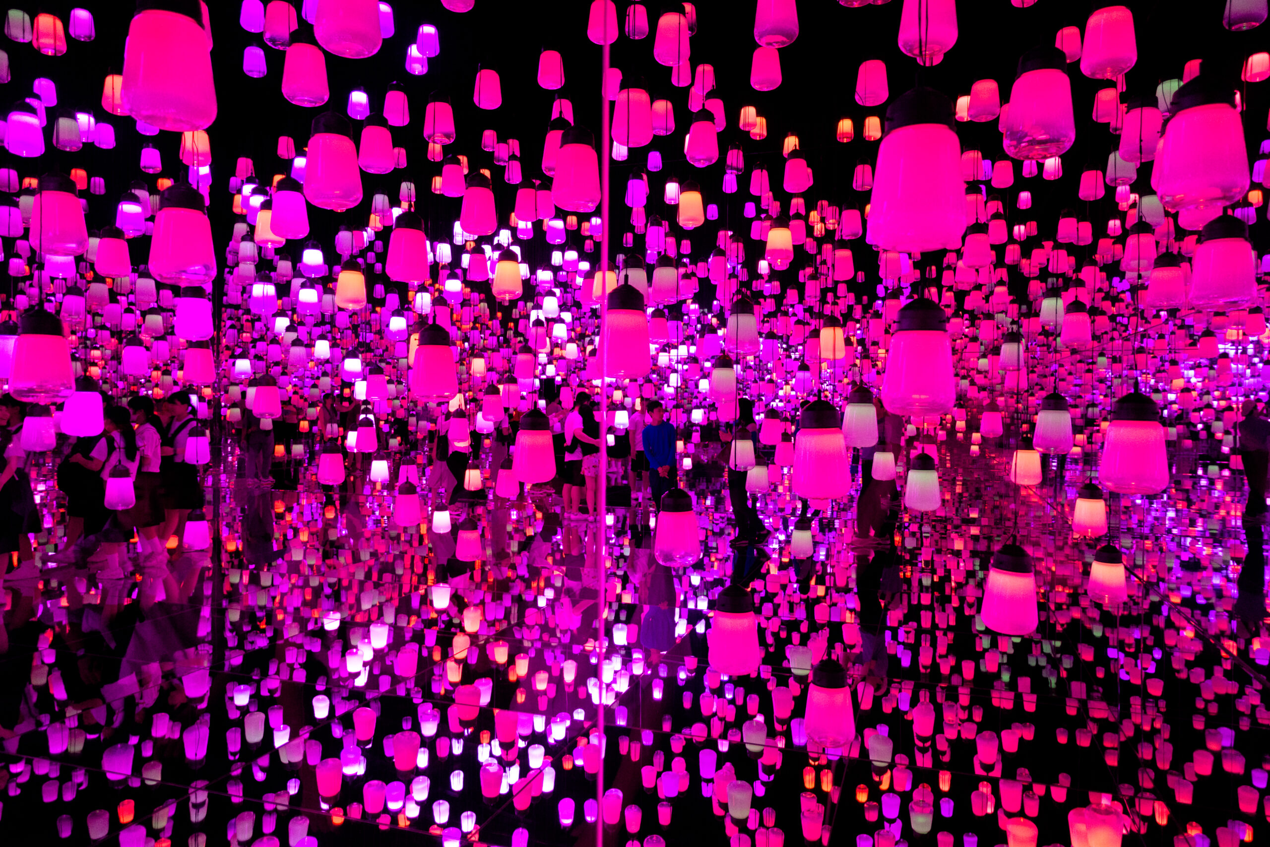 東京台場teamLab無界展覽