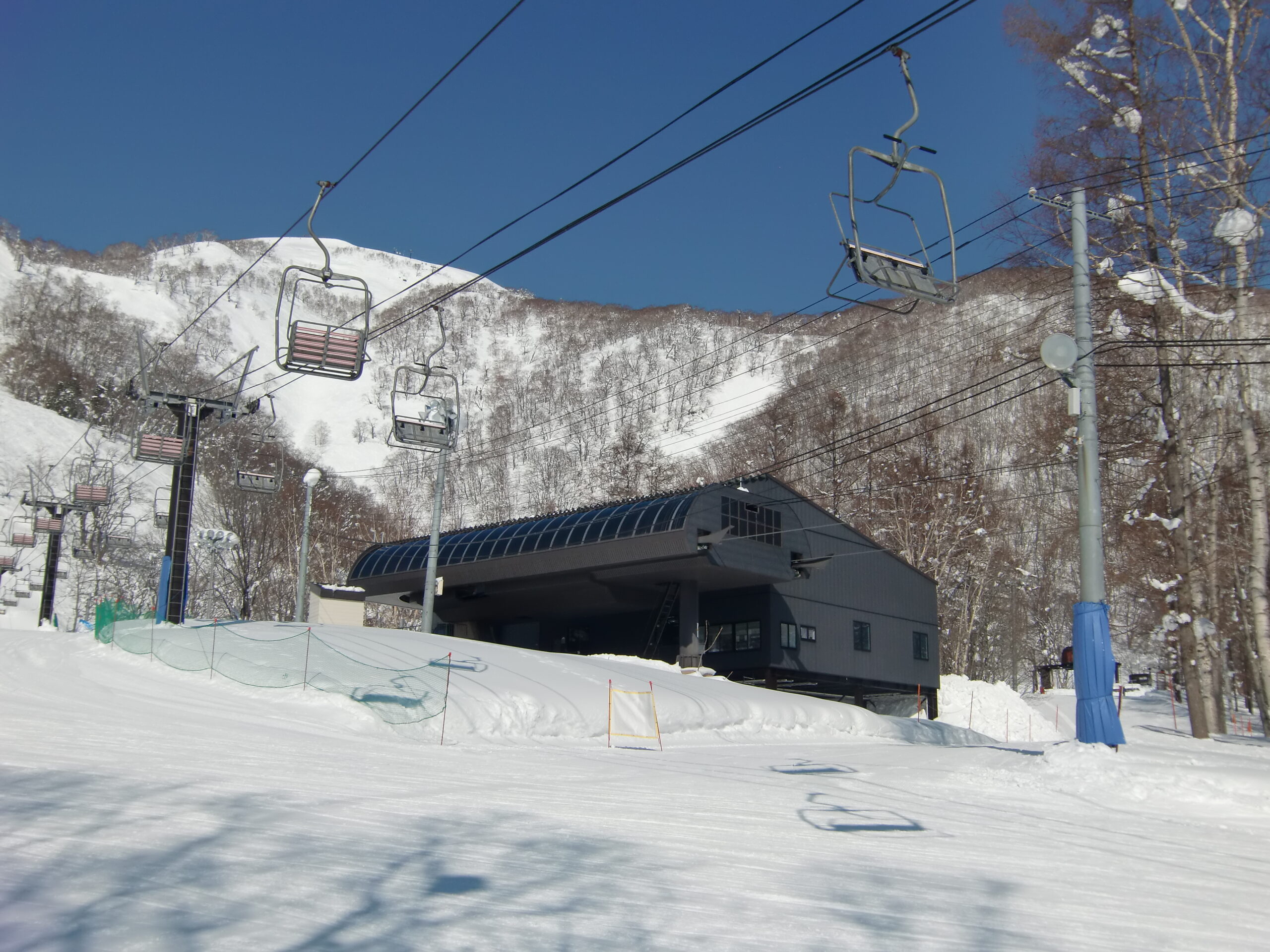 森之椅與村莊快線卸貨處建築