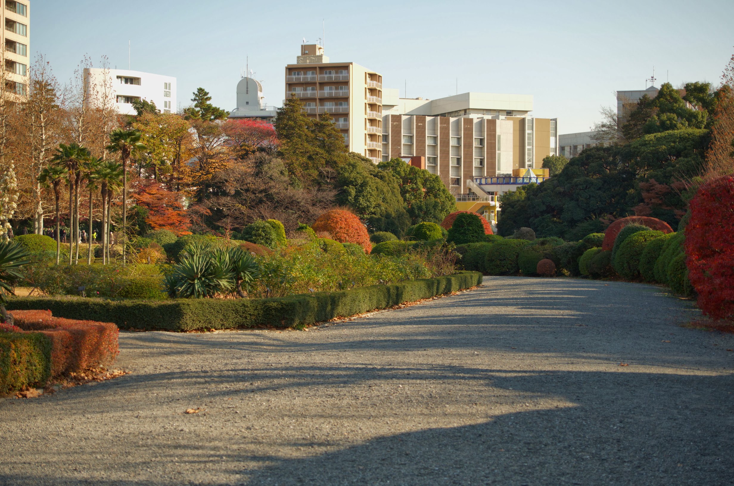 法式整形花園，新宿御苑