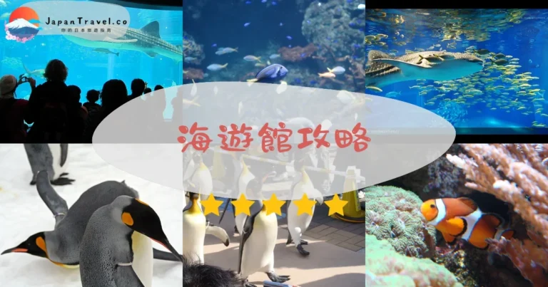 【大阪海遊館】門票¥2,400+交通｜鯨鯊/企鵝必看