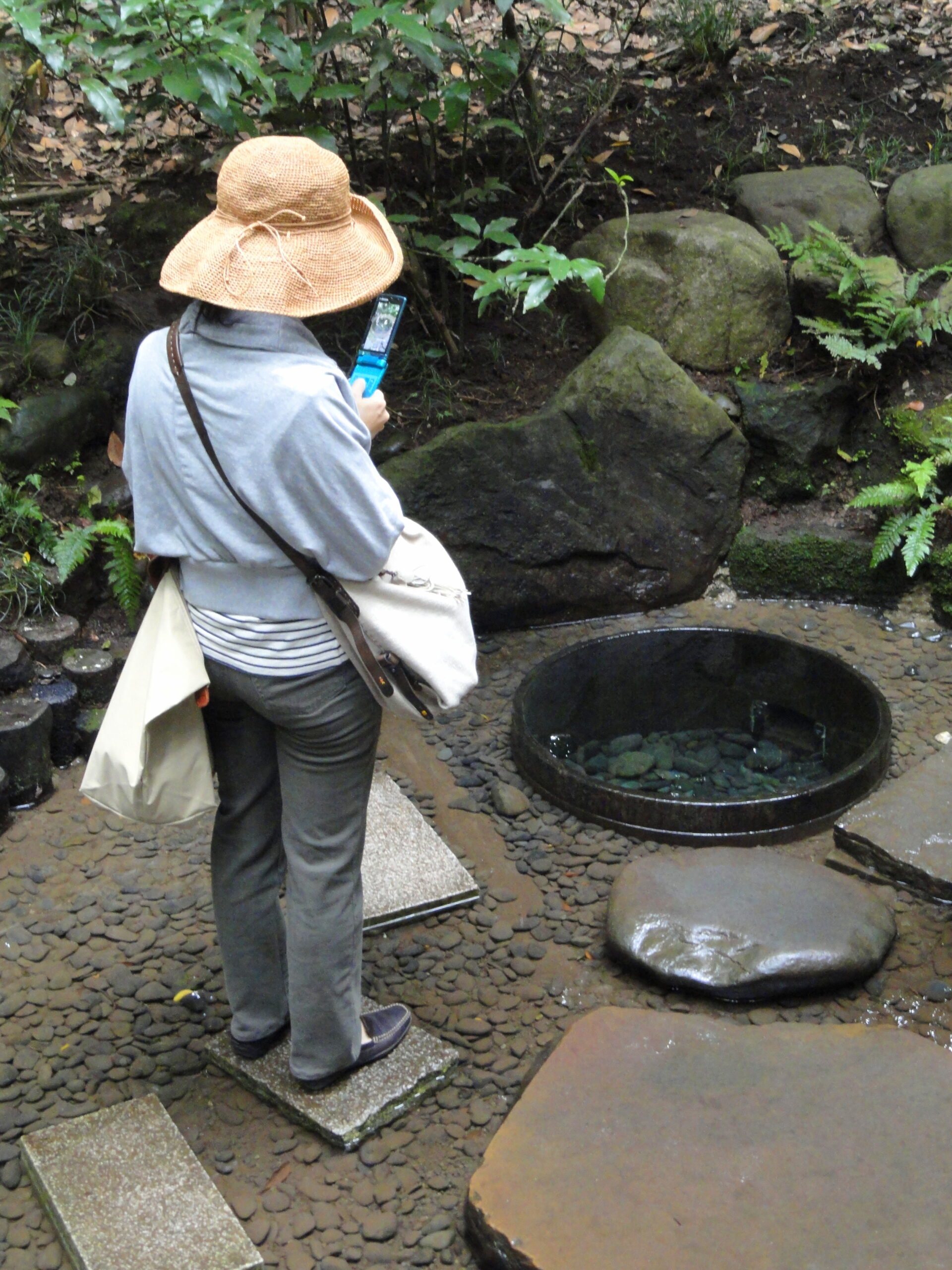 清正井 - 明治神宮內苑