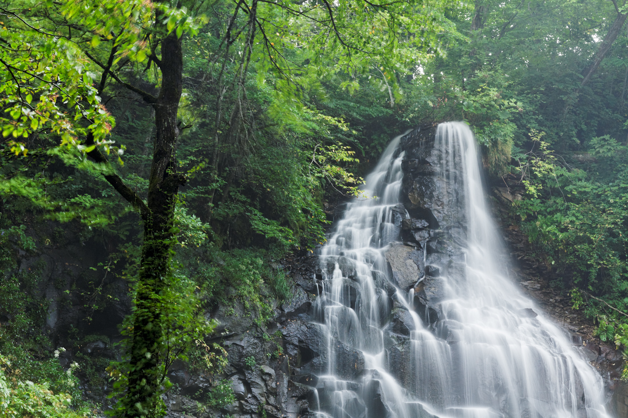 瀧野鈴蘭丘陵公園瀑布