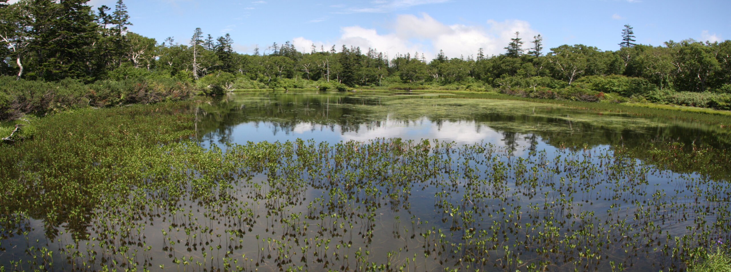 神仙沼木棧道與濕原景觀