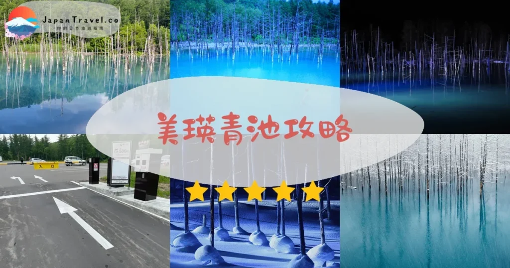 富良野美瑛青池攻略 - 完整遊覽指南 | JapanTravel.co