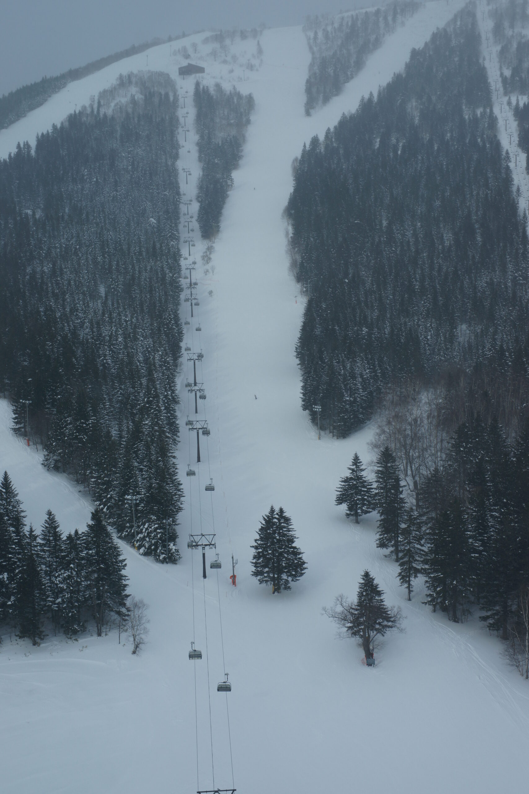 苫舞滑雪度假村