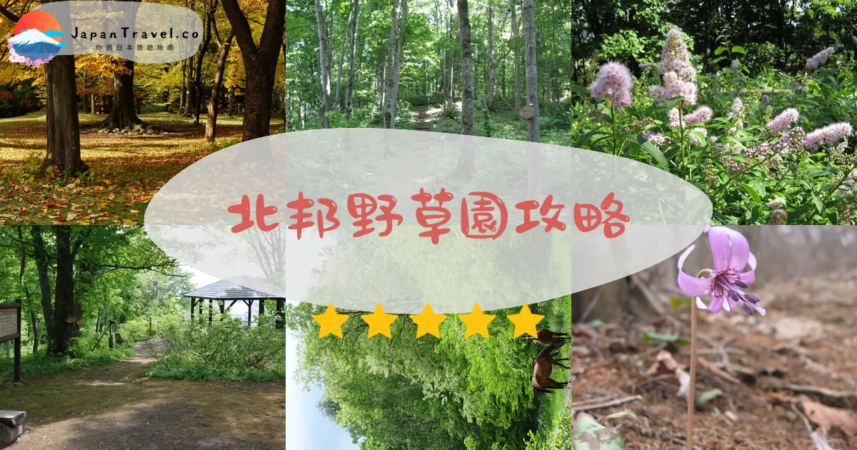 【北邦野草園】2026免費參觀攻略：600種原生植物、開放時間、交通方式｜旭川市自然生態景點