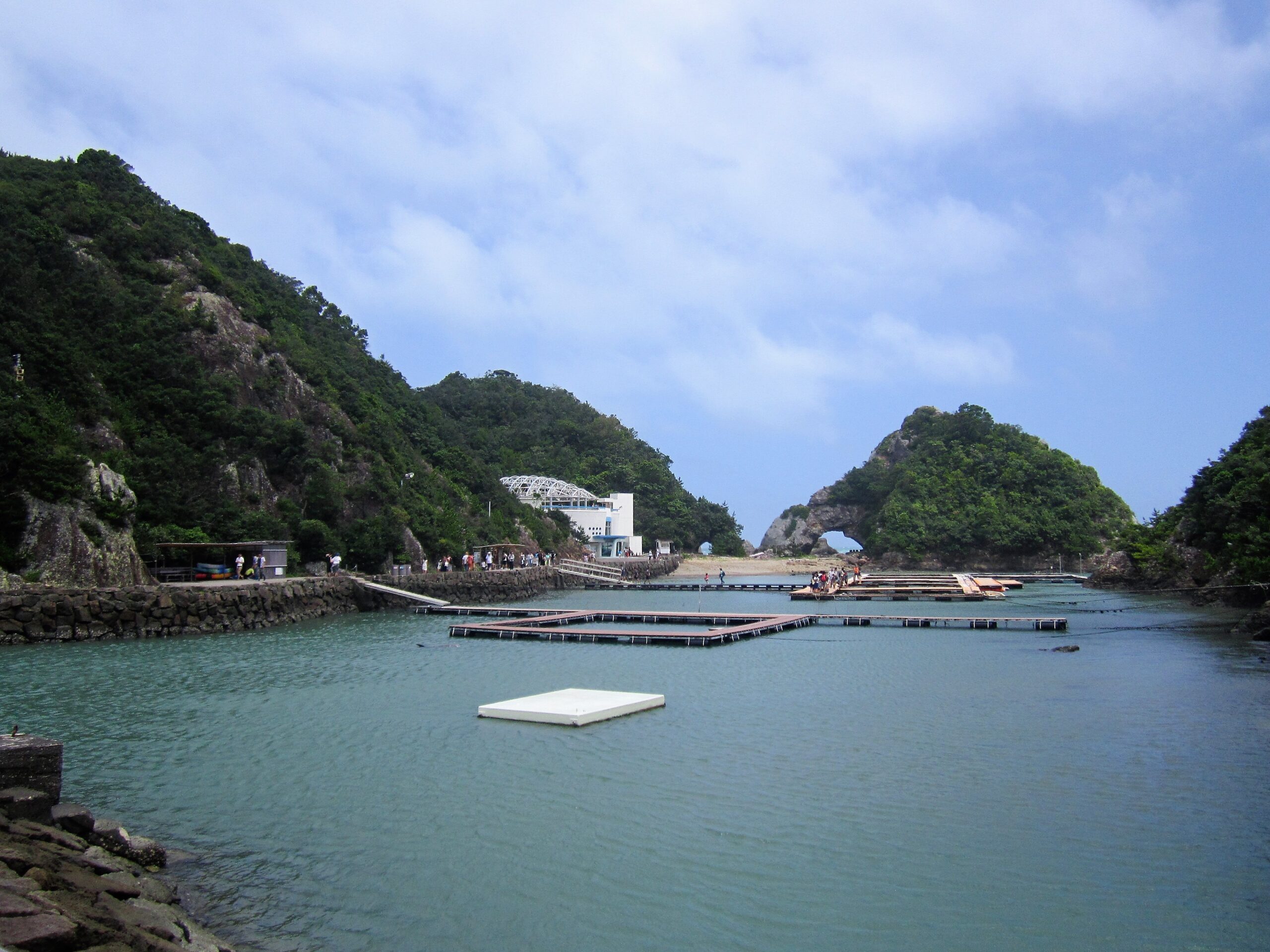 太地町立鯨魚博物館】2026門票¥1,800攻略：開放時間、交通方式、海豚表演時間｜和歌山景點