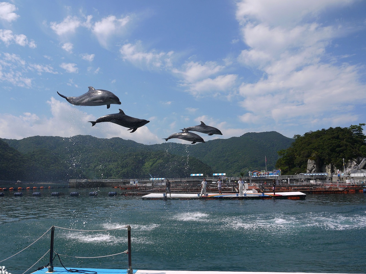 太地町立鯨魚博物館】2026門票¥1,800攻略：開放時間、交通方式、海豚表演時間｜和歌山景點