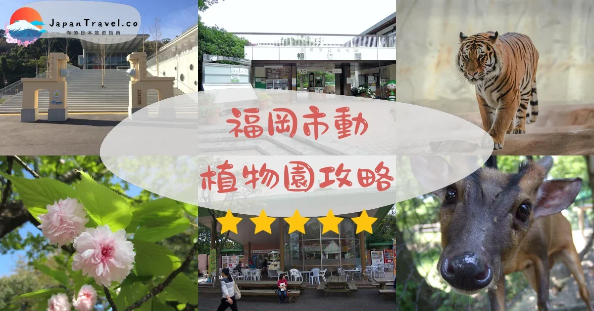 【福岡市動植物園】2026門票¥600攻略：開放時間、交通方式、100種動物必看亮點｜九州親子景點