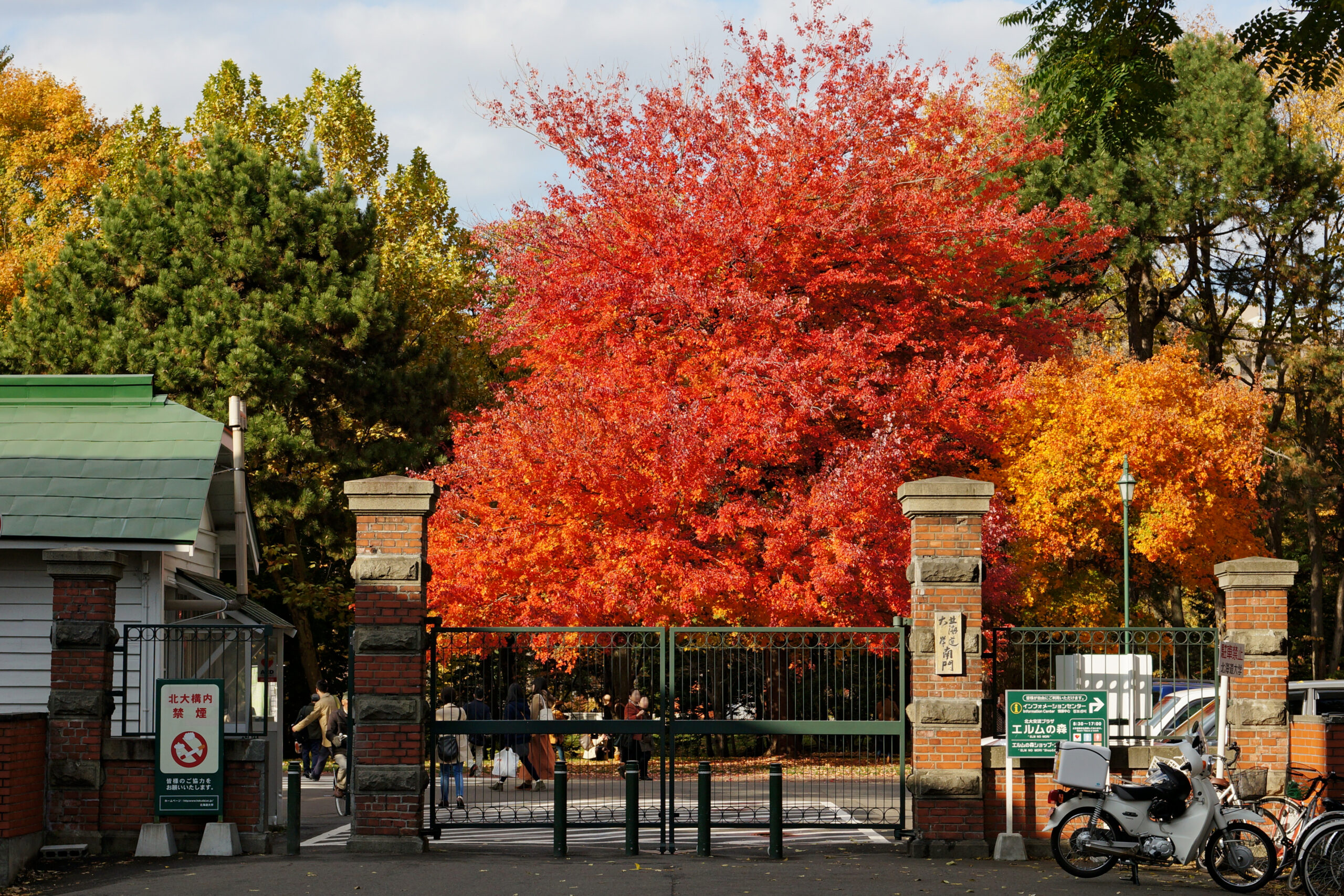 北海道大學，札幌，北海道，日本