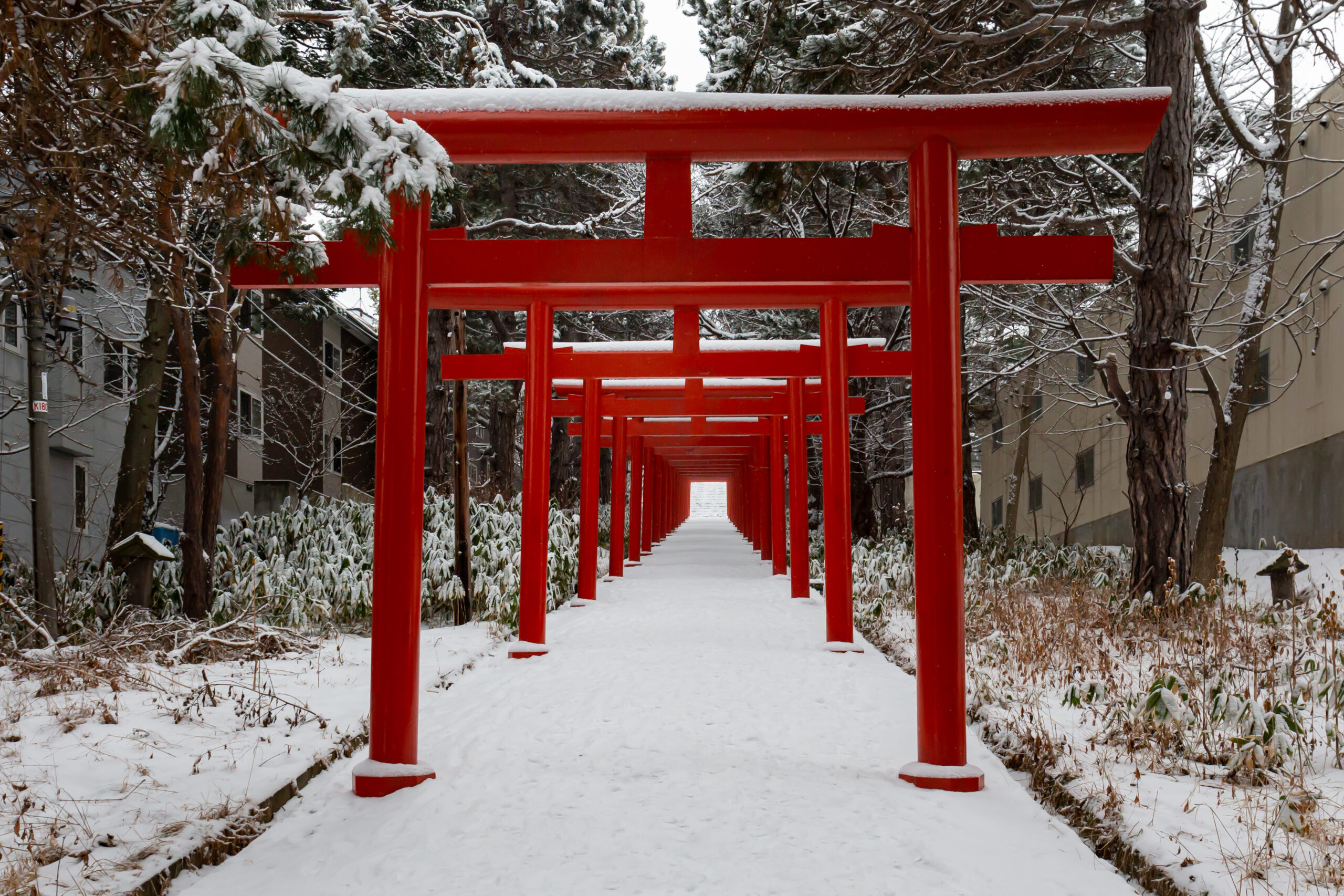 札幌伏見稻荷神社雪景