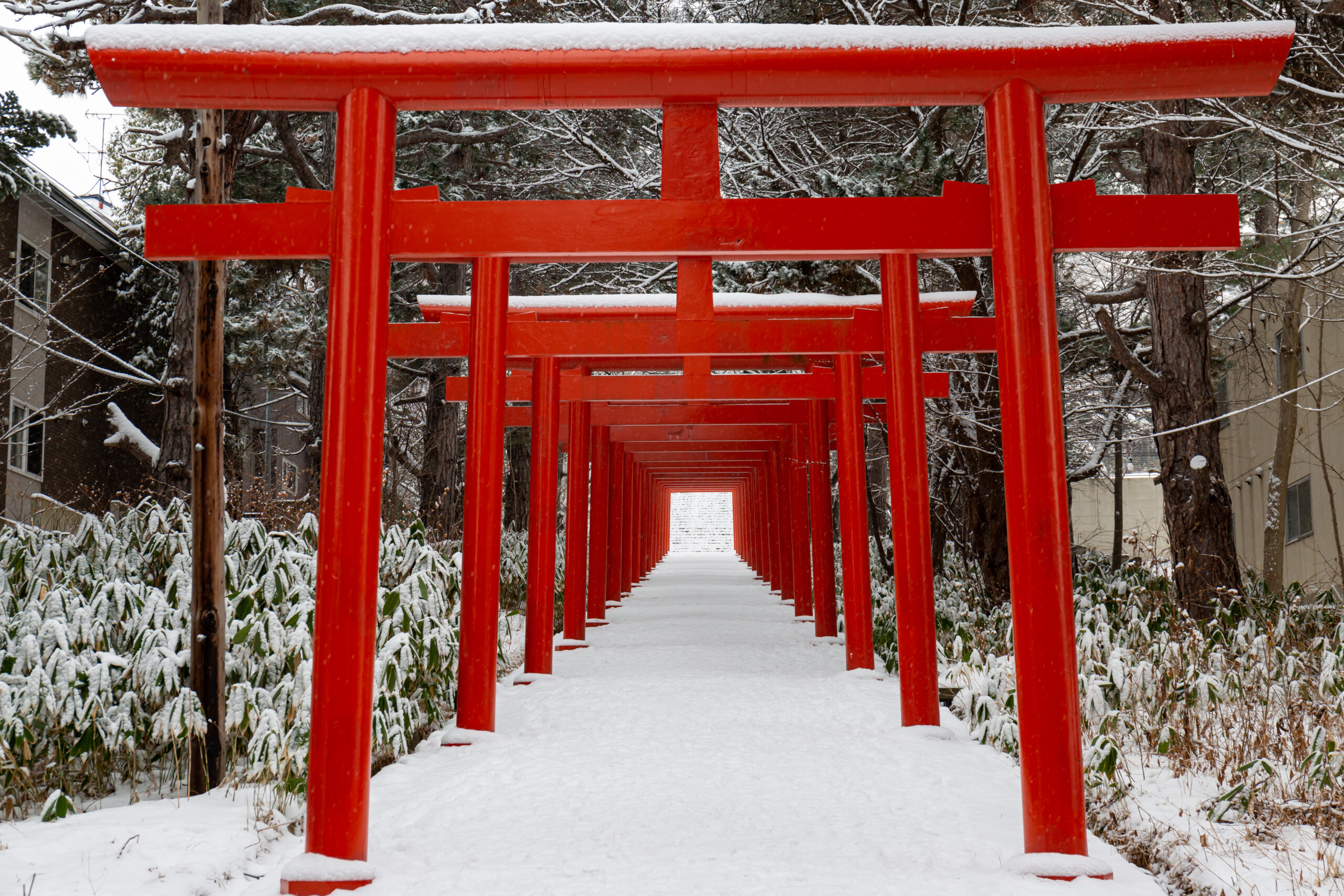札幌伏見稻荷神社攝影角度