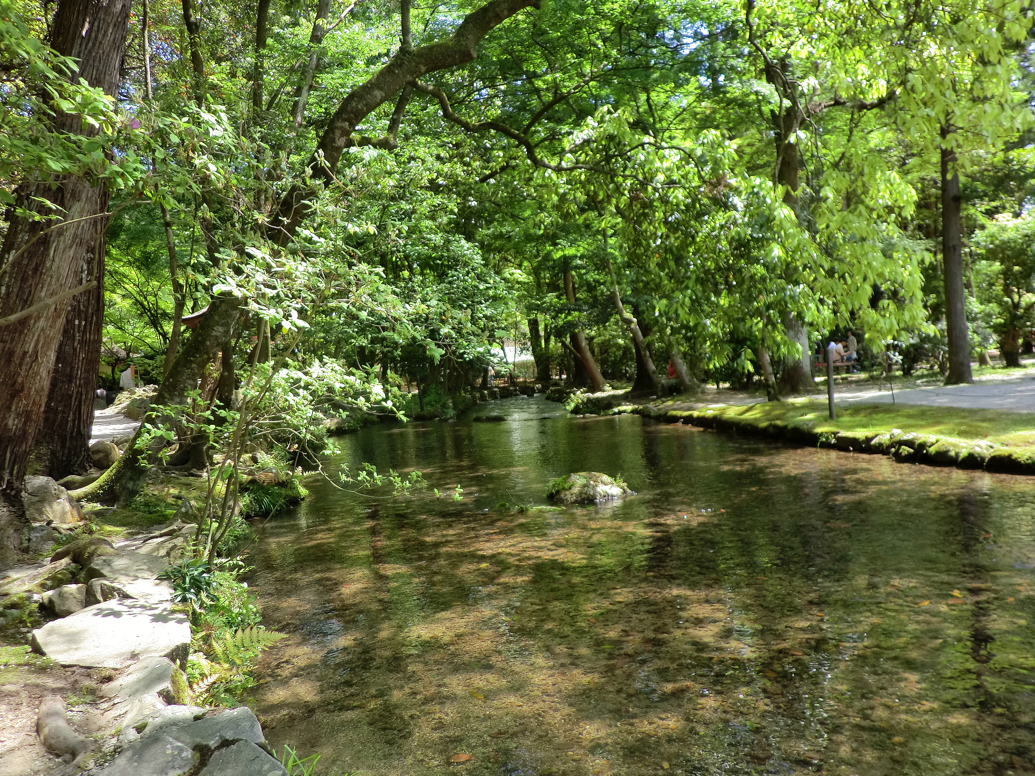 500像素攝影作品