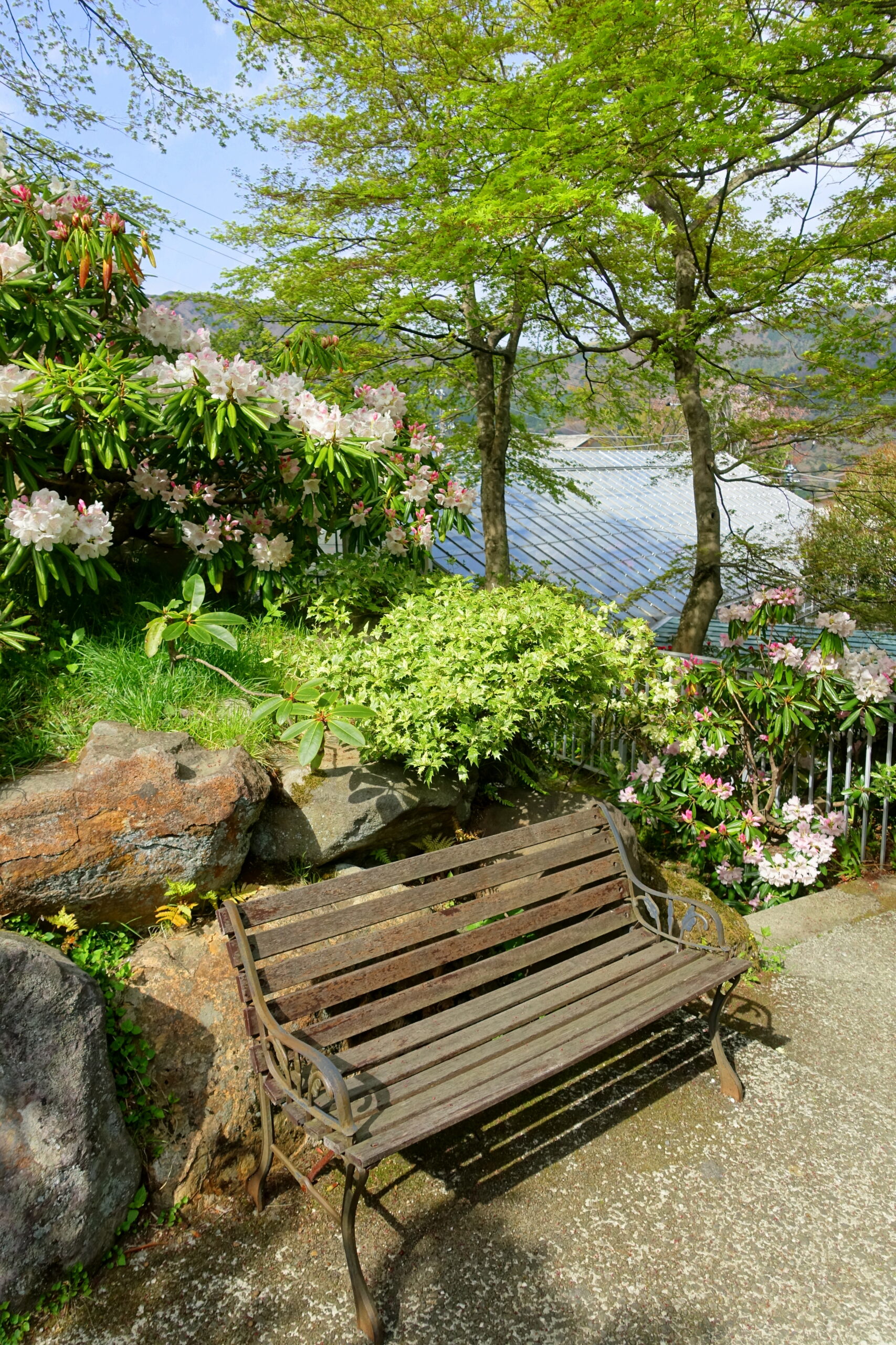 強羅公園春季花園長椅