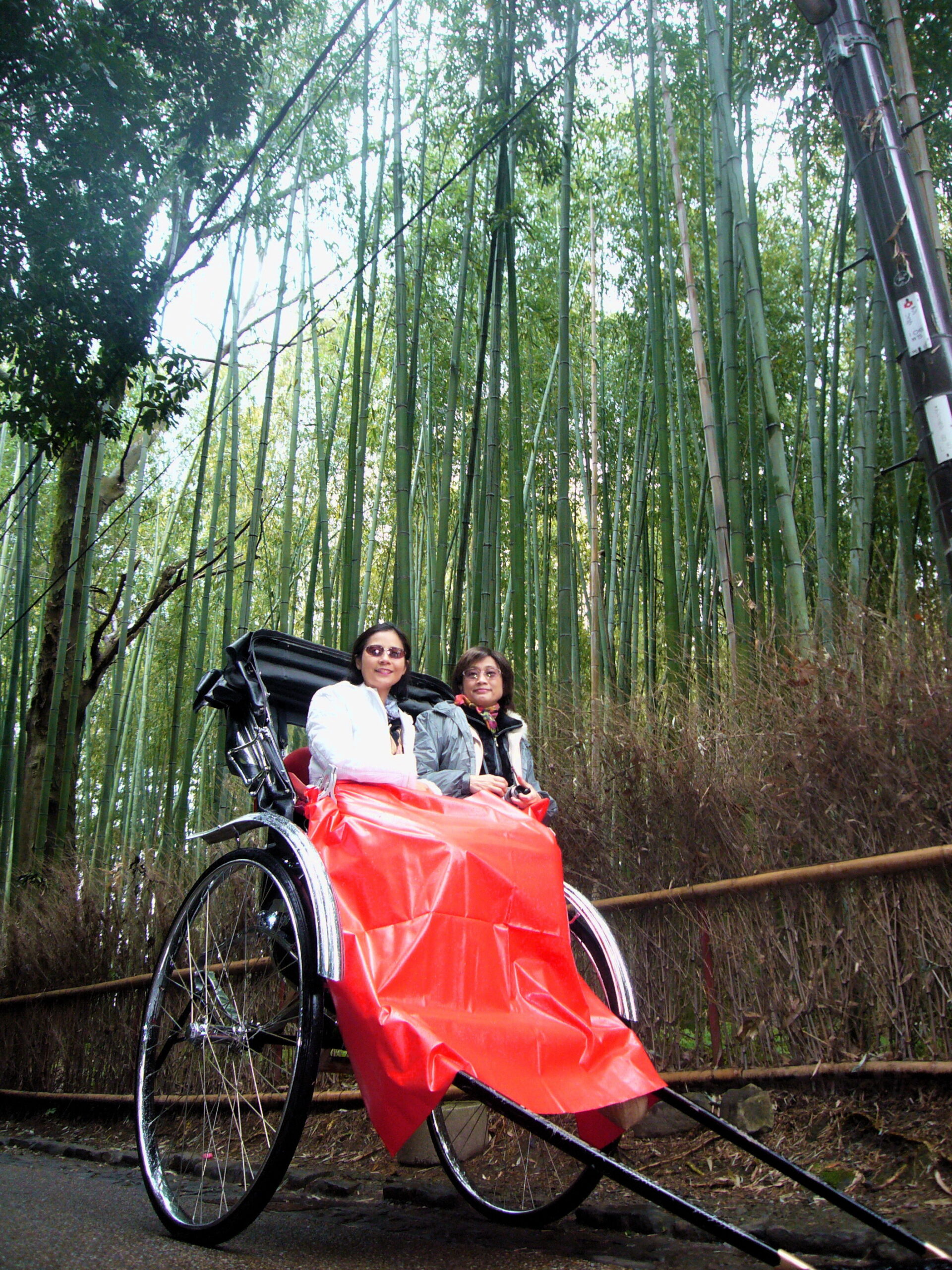 京都嵐山竹林綠色隧道