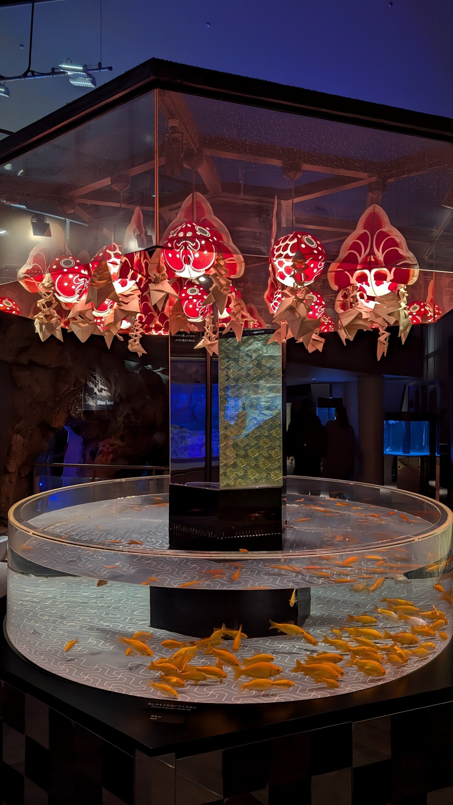 金魚展示區「江戶水族館」