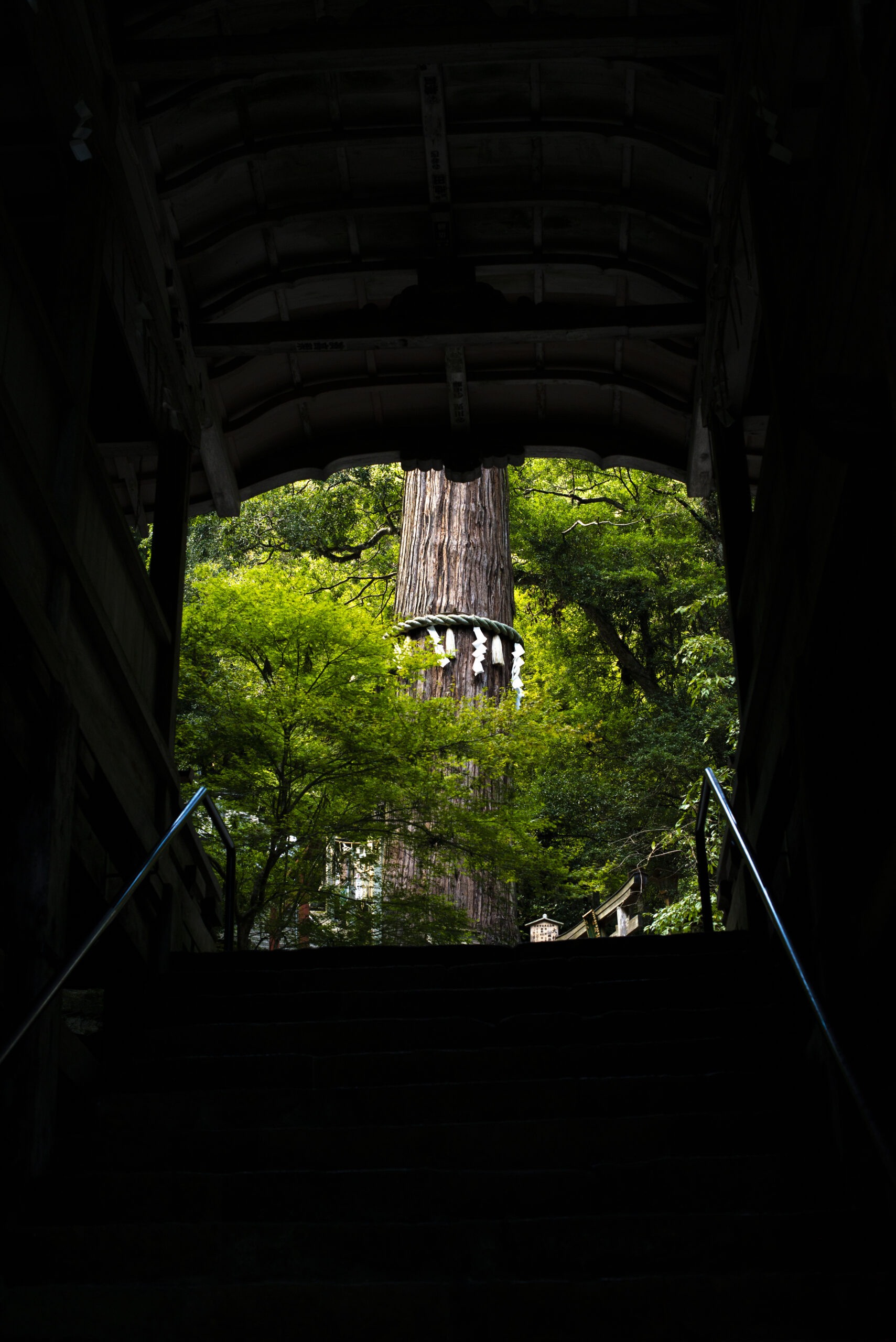鞍馬寺入口區域