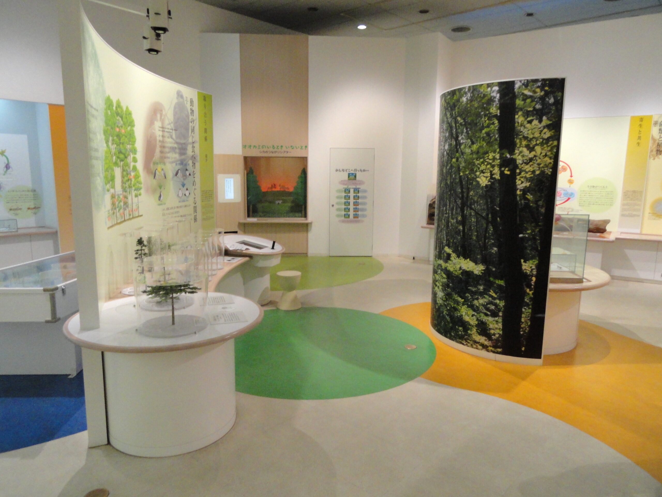 大阪自然史博物館展示室