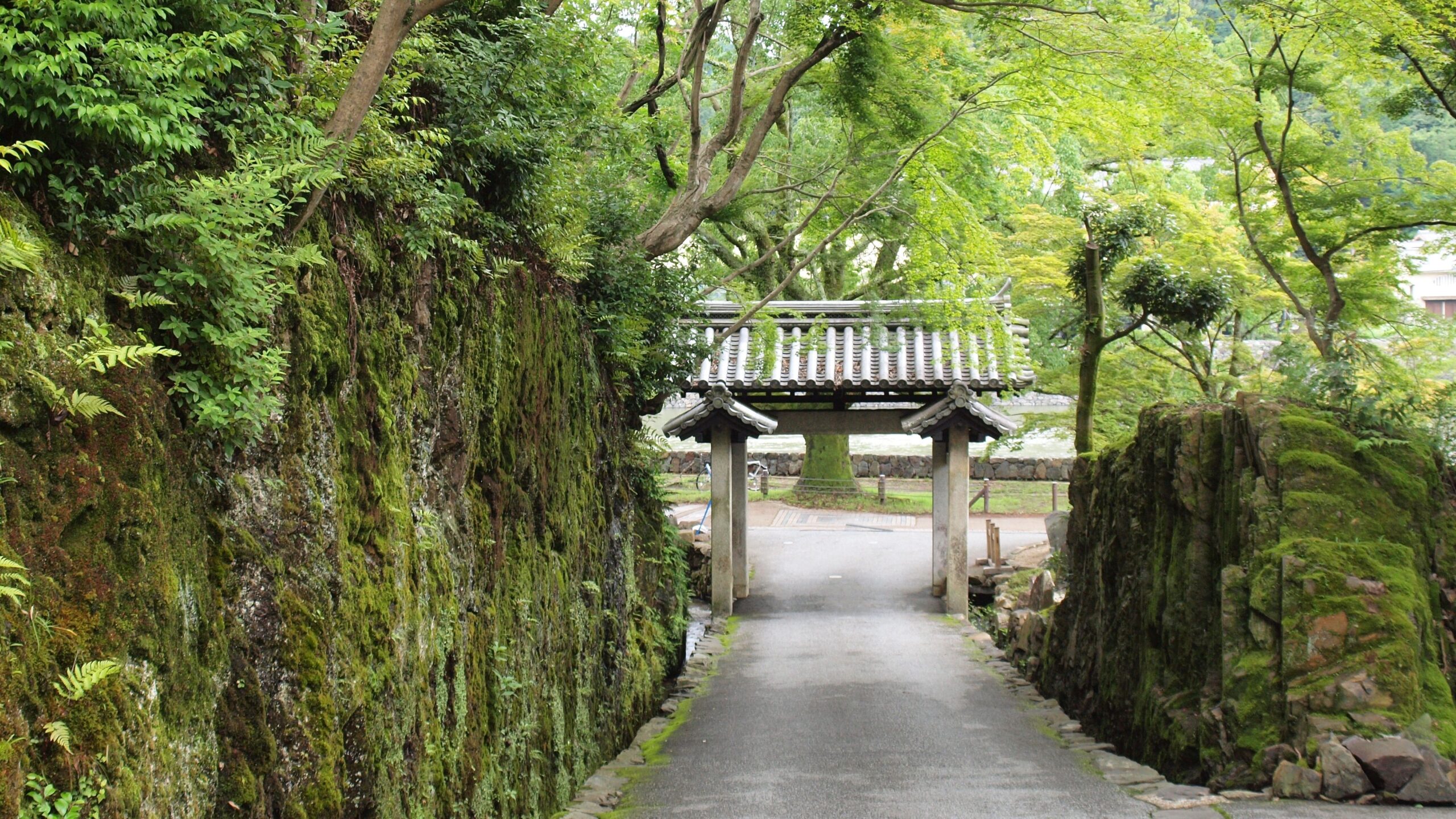 宇治光照寺山門
