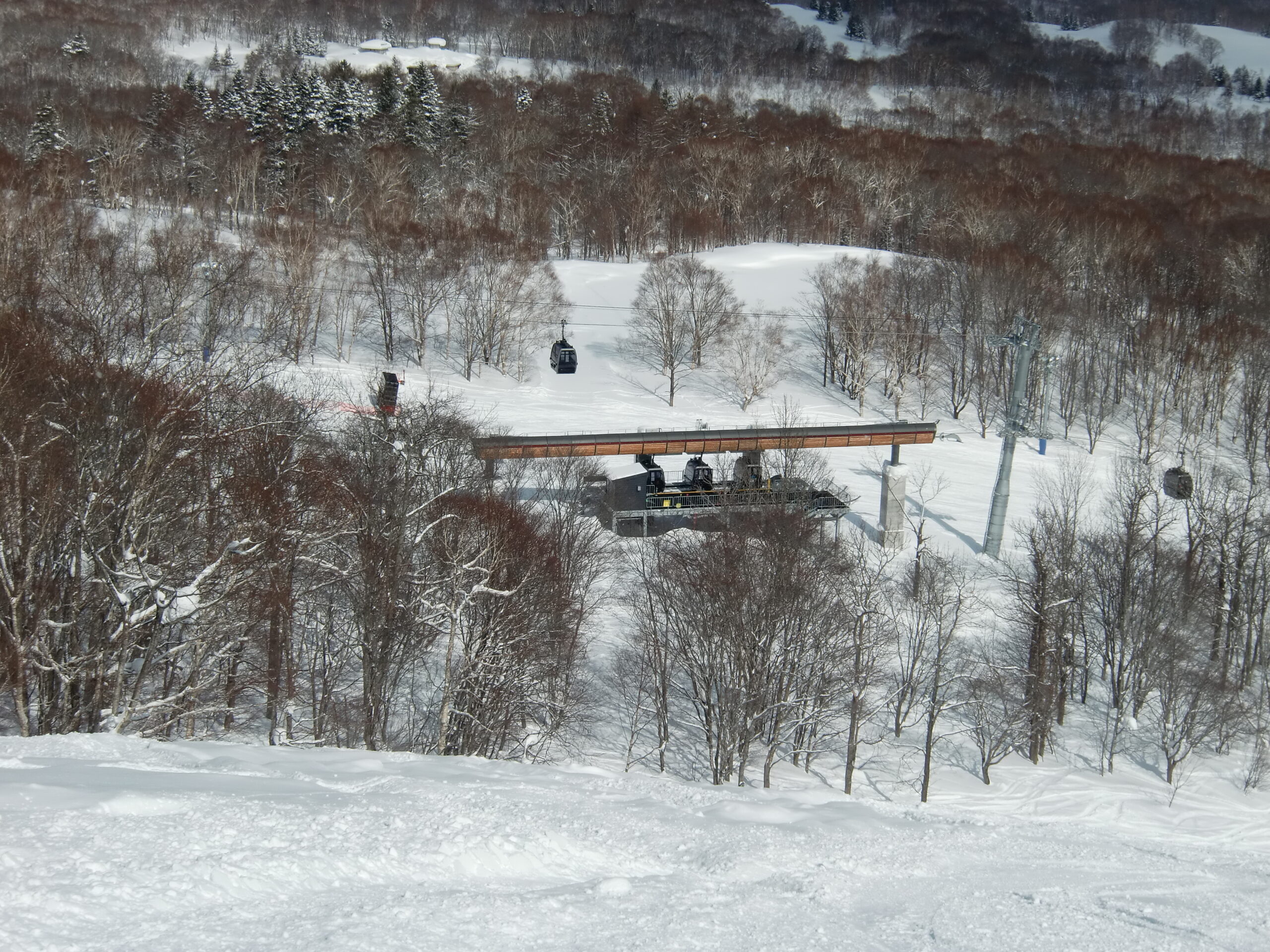 花園交響纜車(中途站)