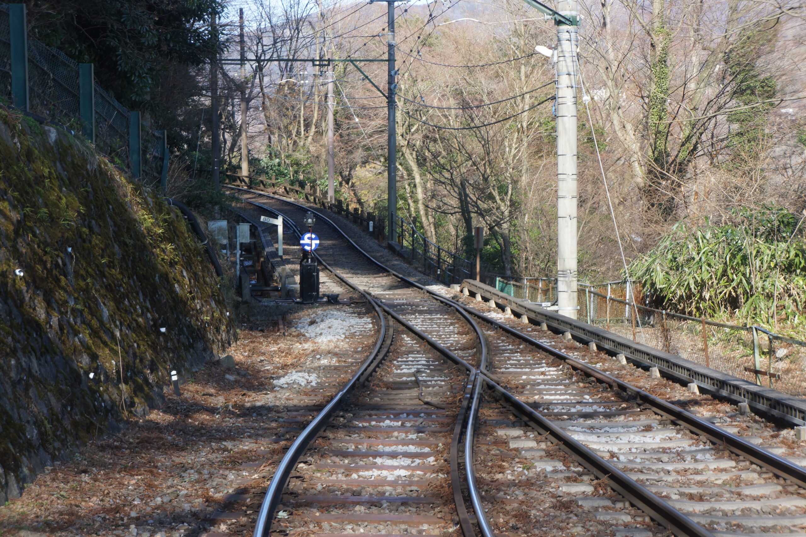 箱根登山電車行駛在綠意盎然的山林間，紅色車身與周圍自然景觀形成對比