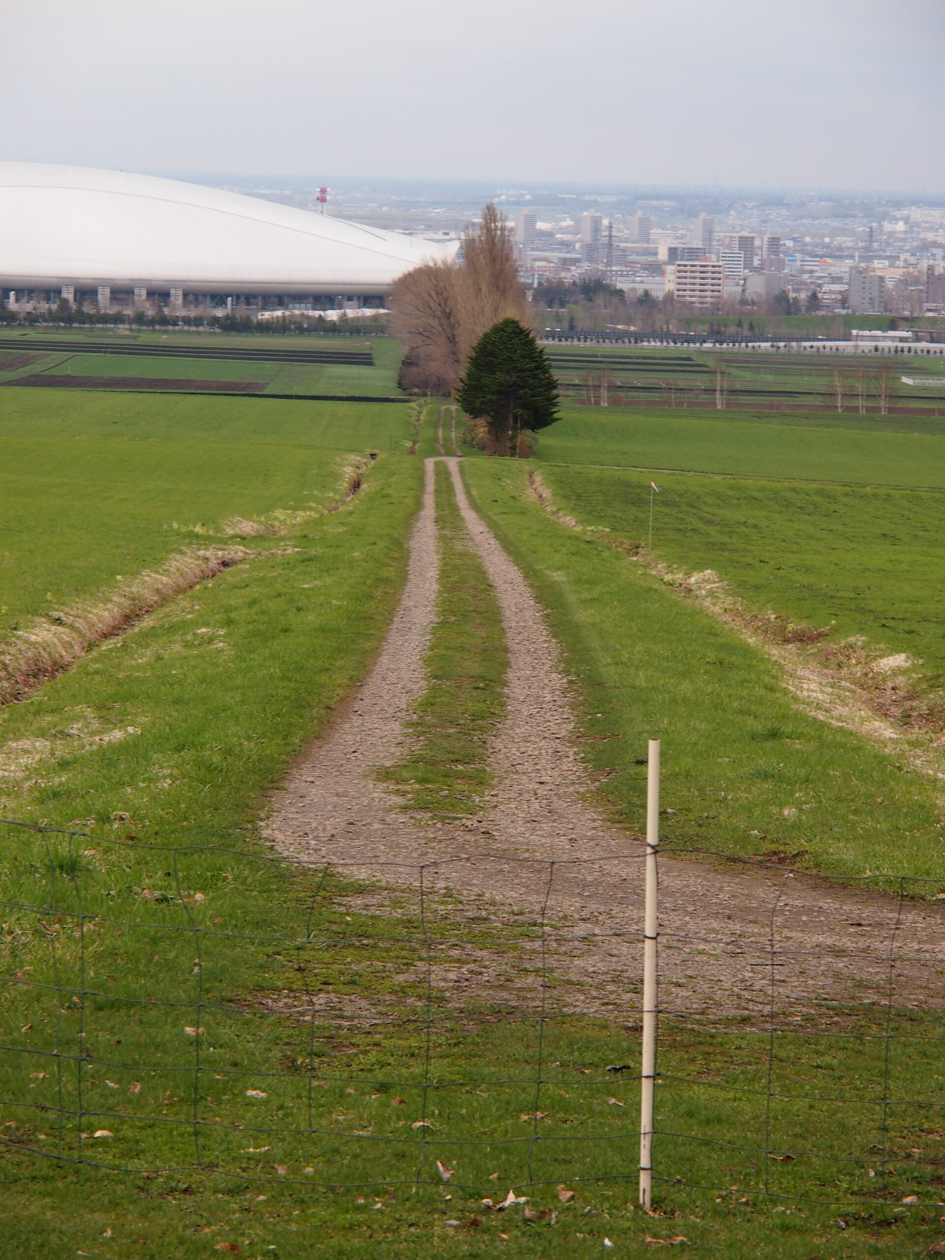 羊丘,札幌 - 全景照