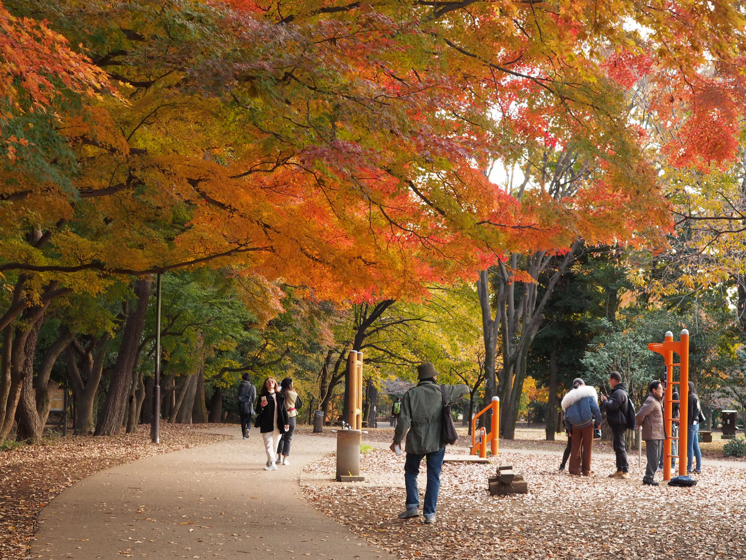 井之頭公園風景