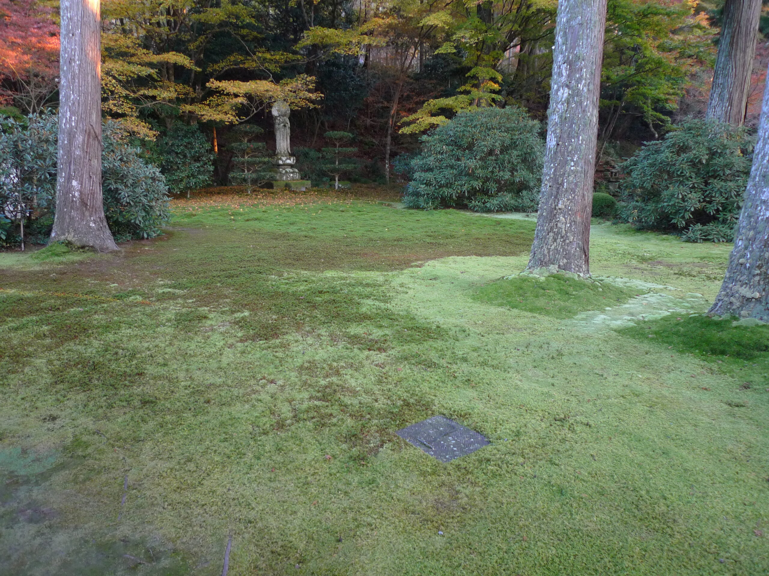 三千院日本庭園