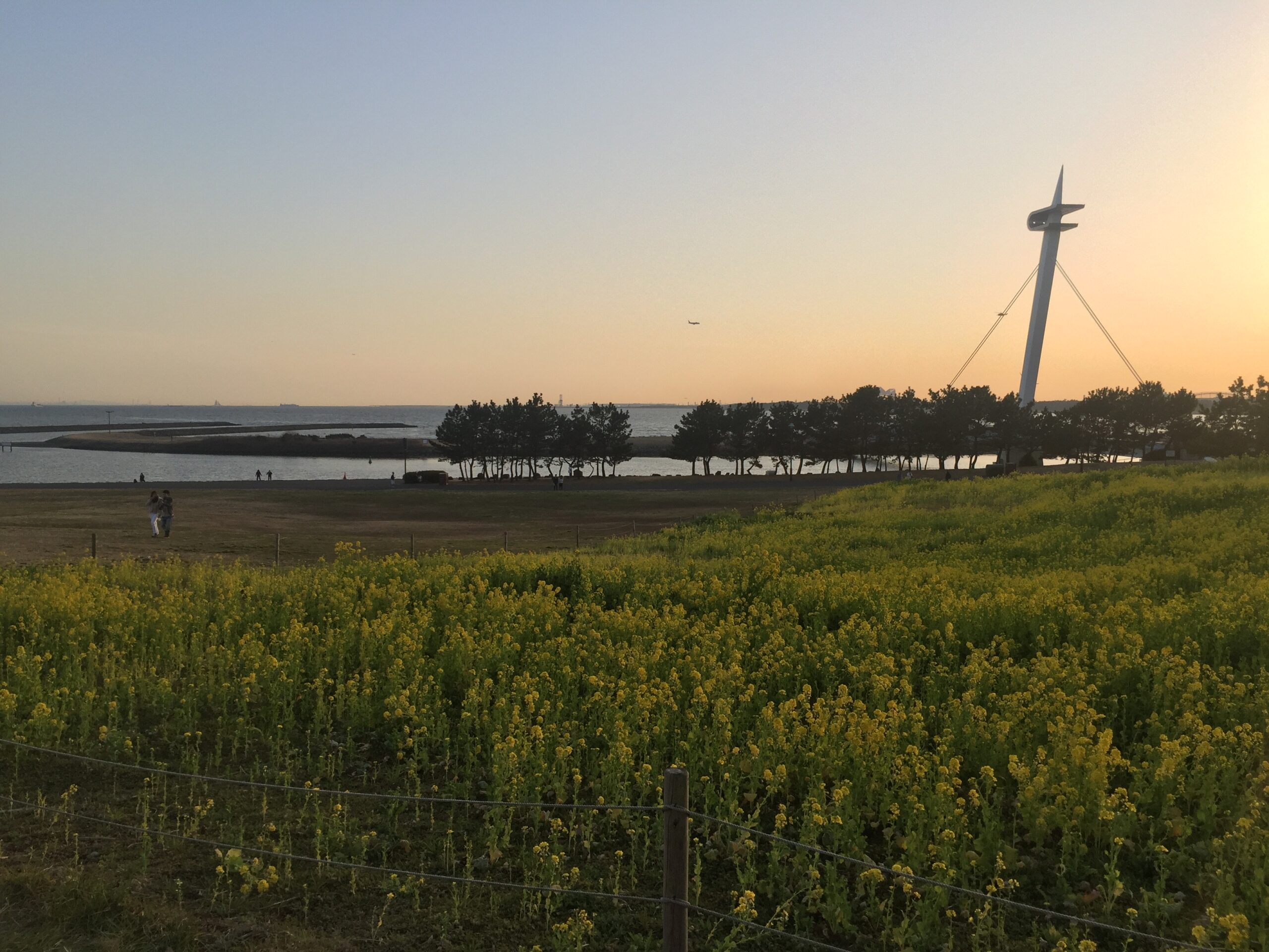 葛西臨海公園全景