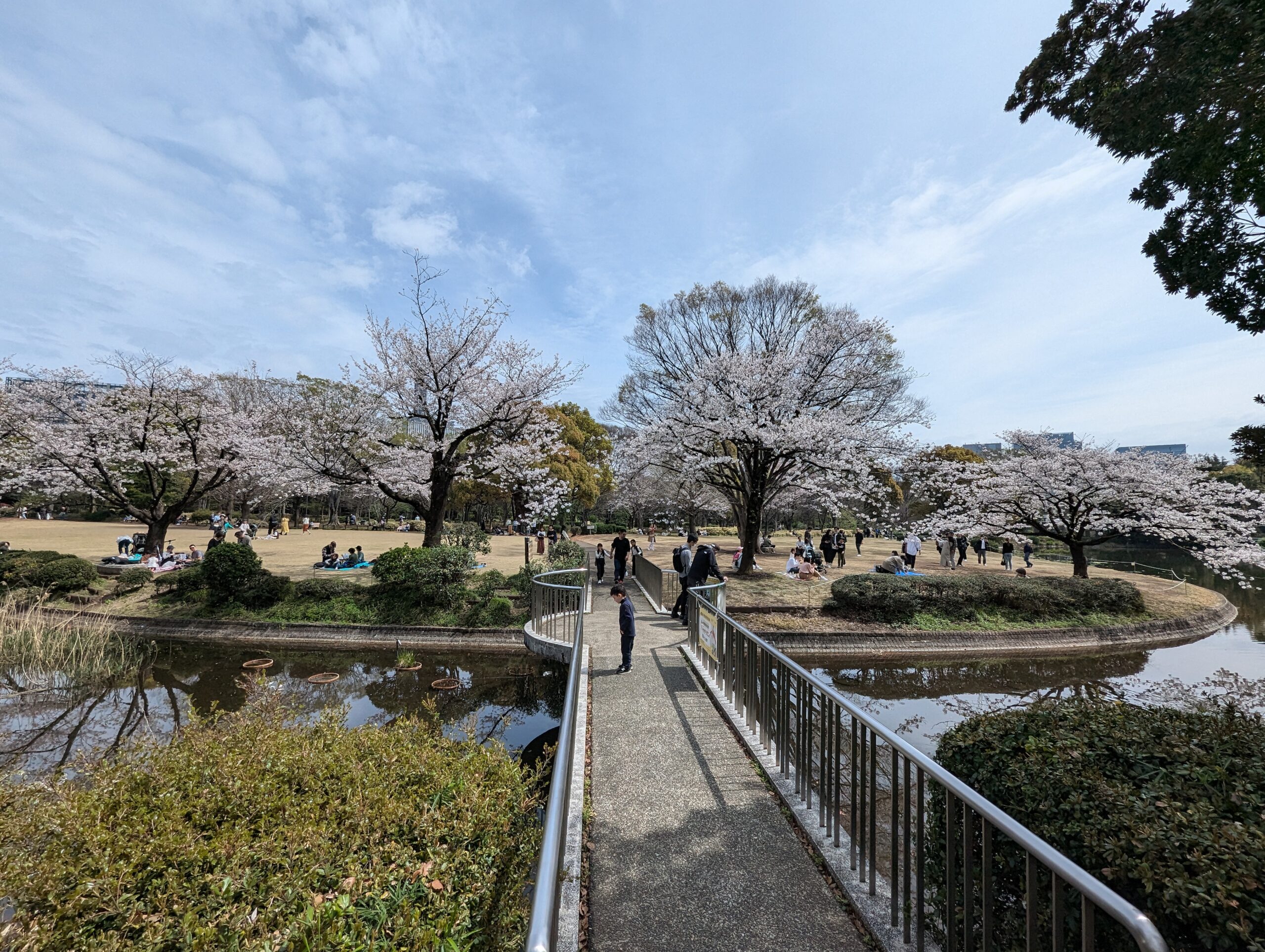北之丸公園景色