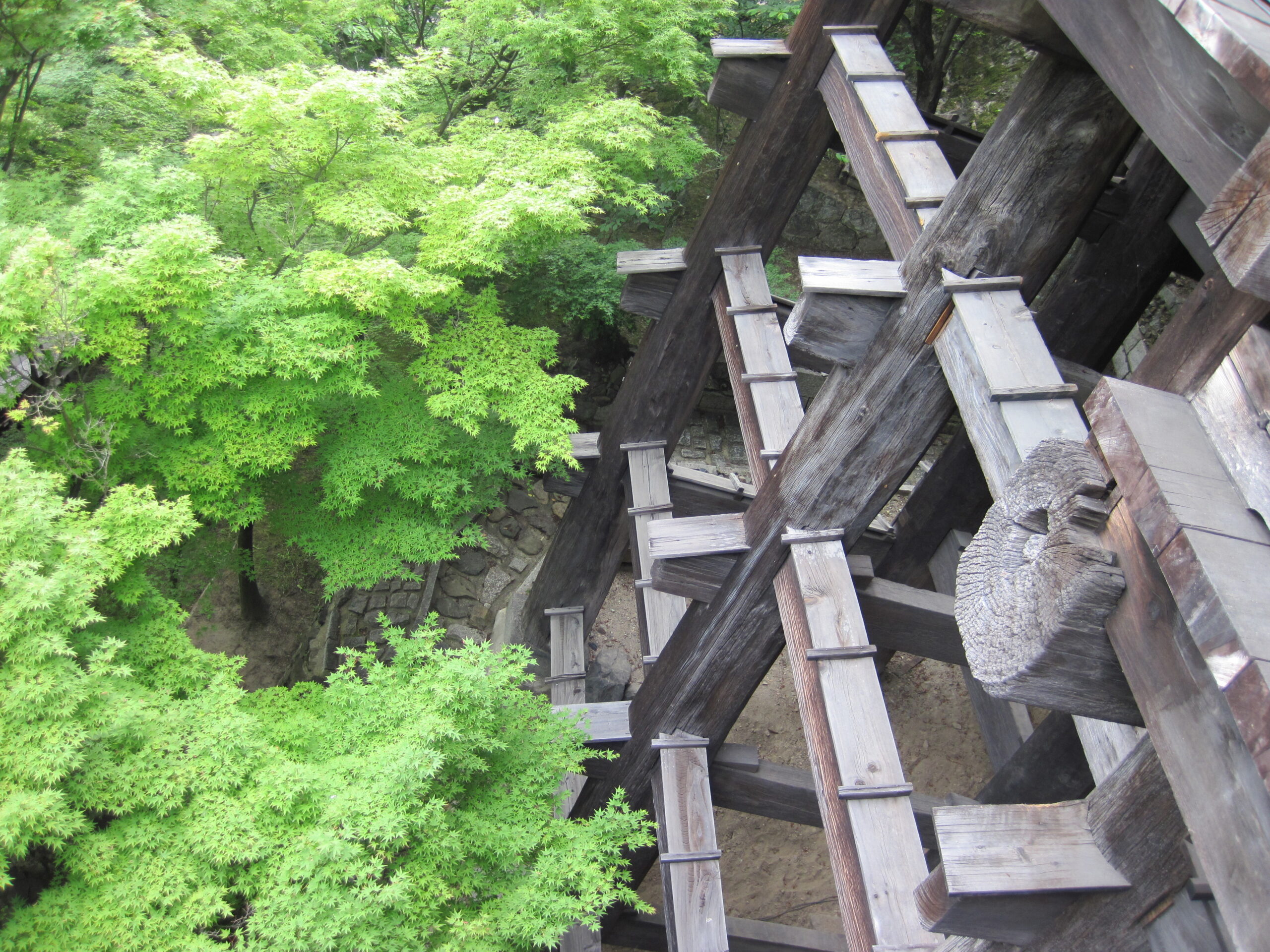 清水寺世界遺產全景