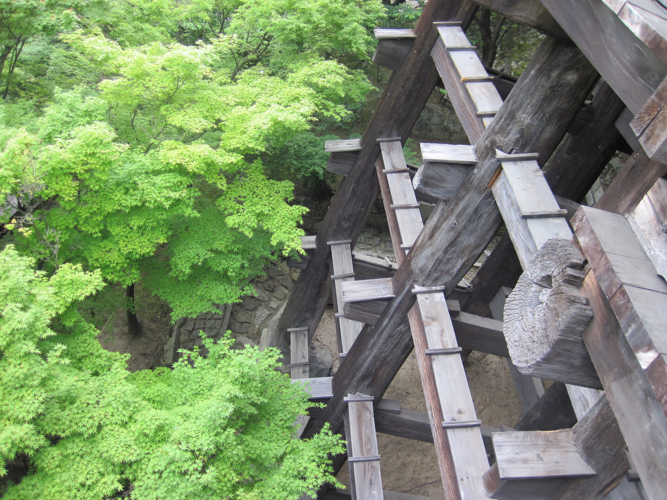 國寶・世界遺產 清水寺 京都