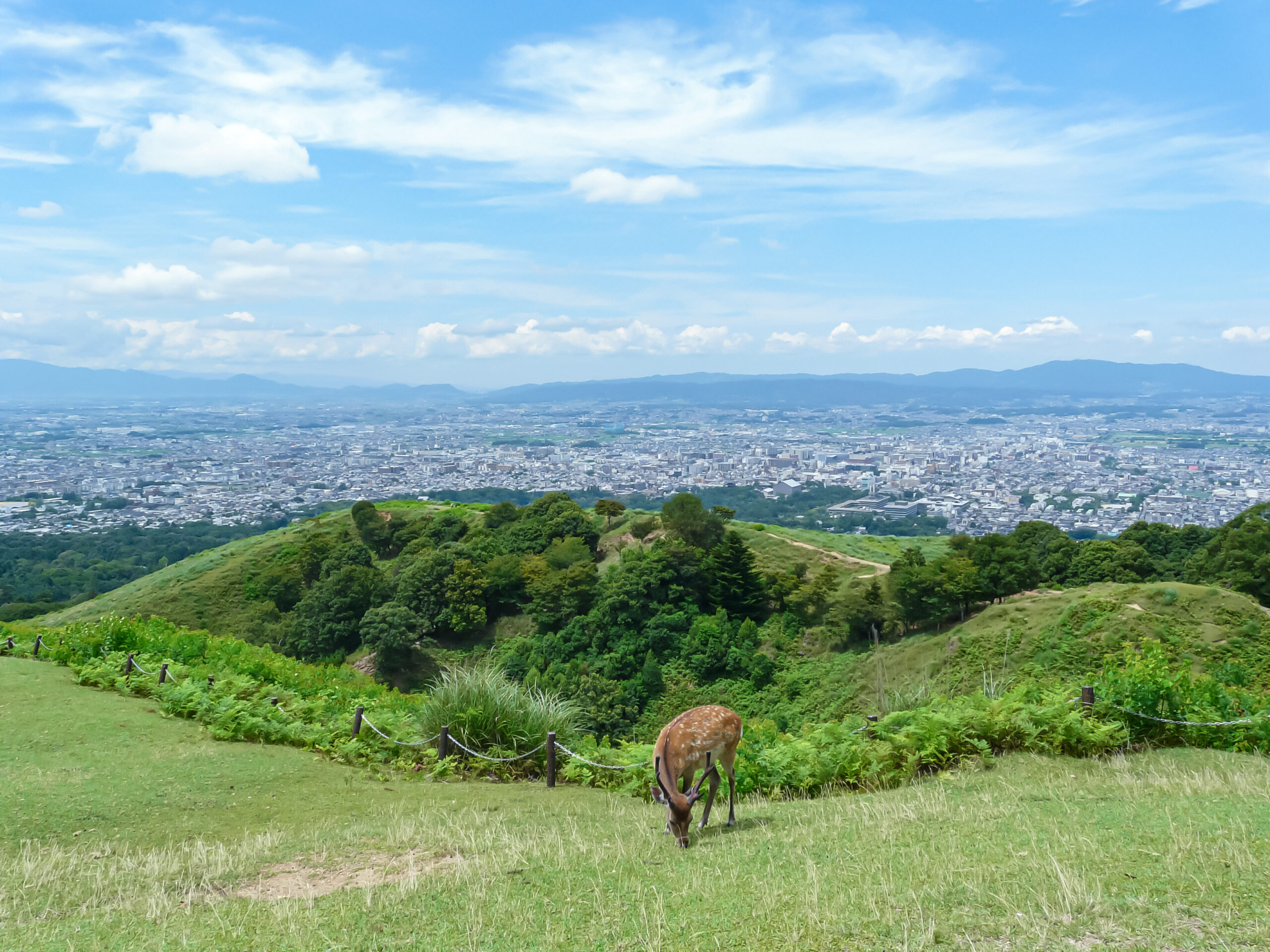 從山頂俯瞰若草山