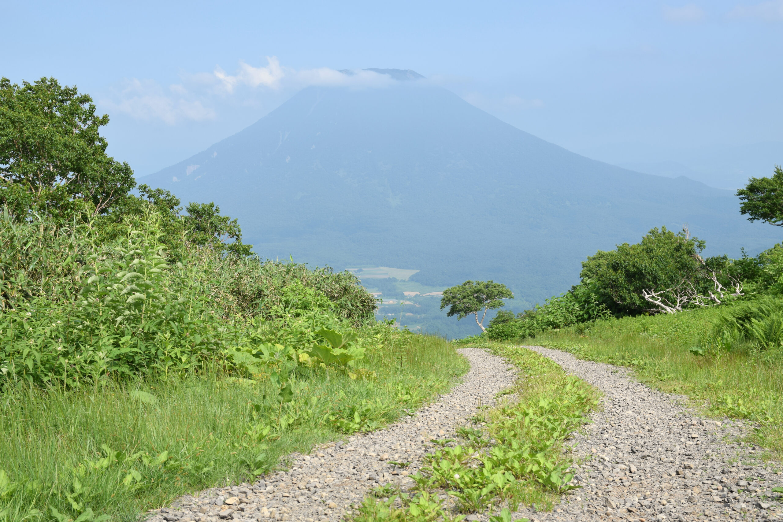 羊蹄山壯麗景色