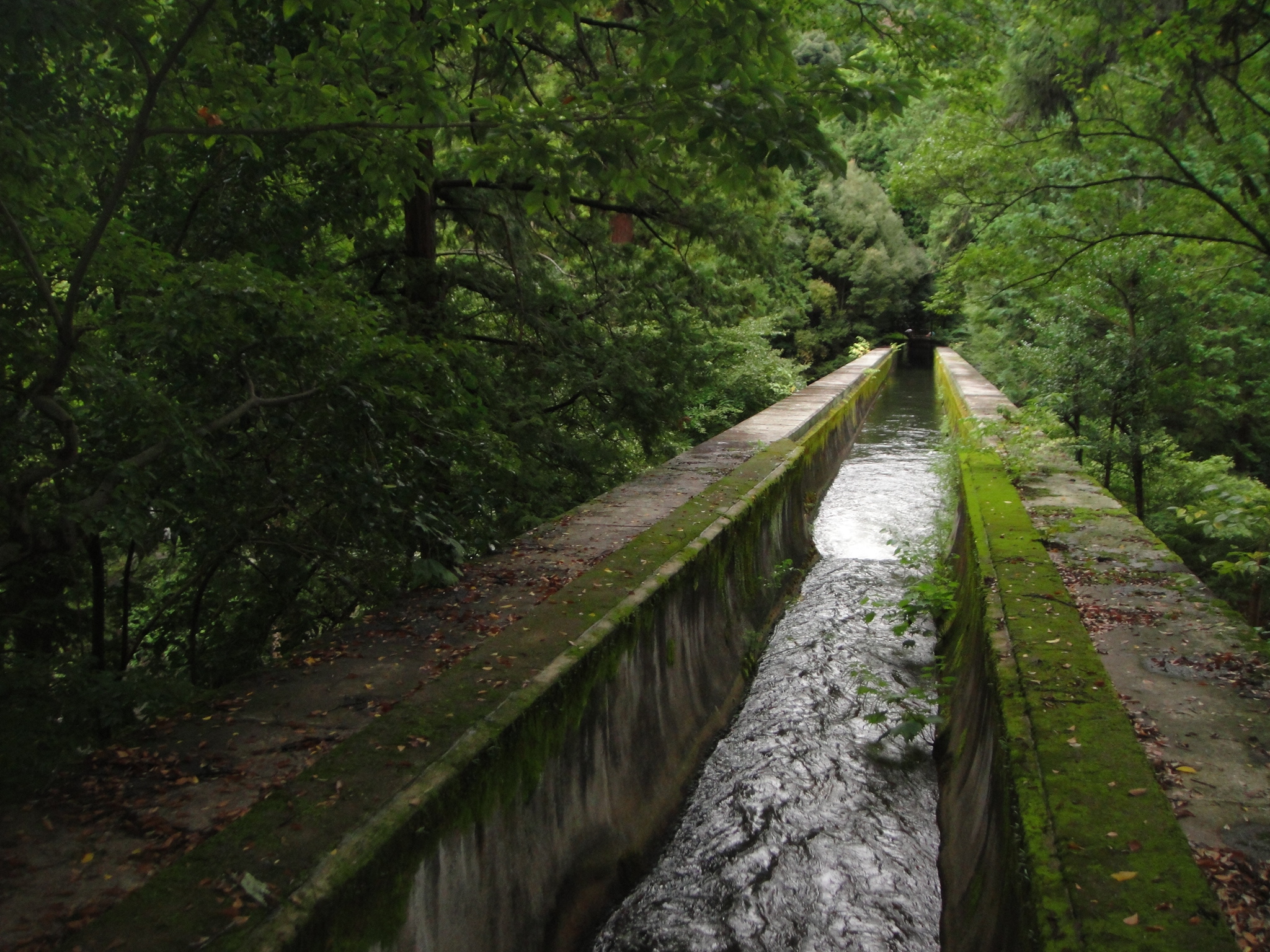南禪寺磚造水路閣