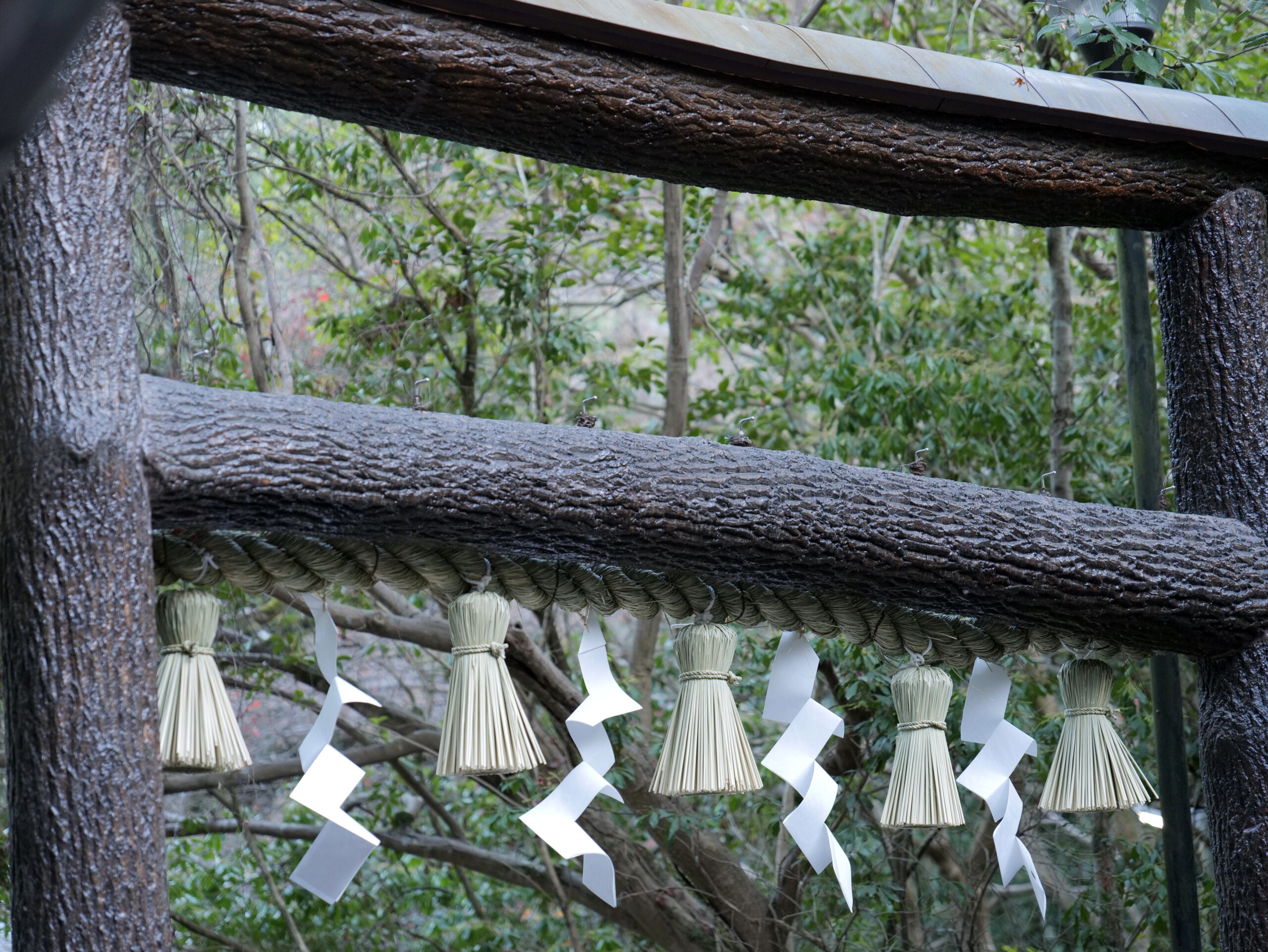 京都宇治野野宮神社鳥居