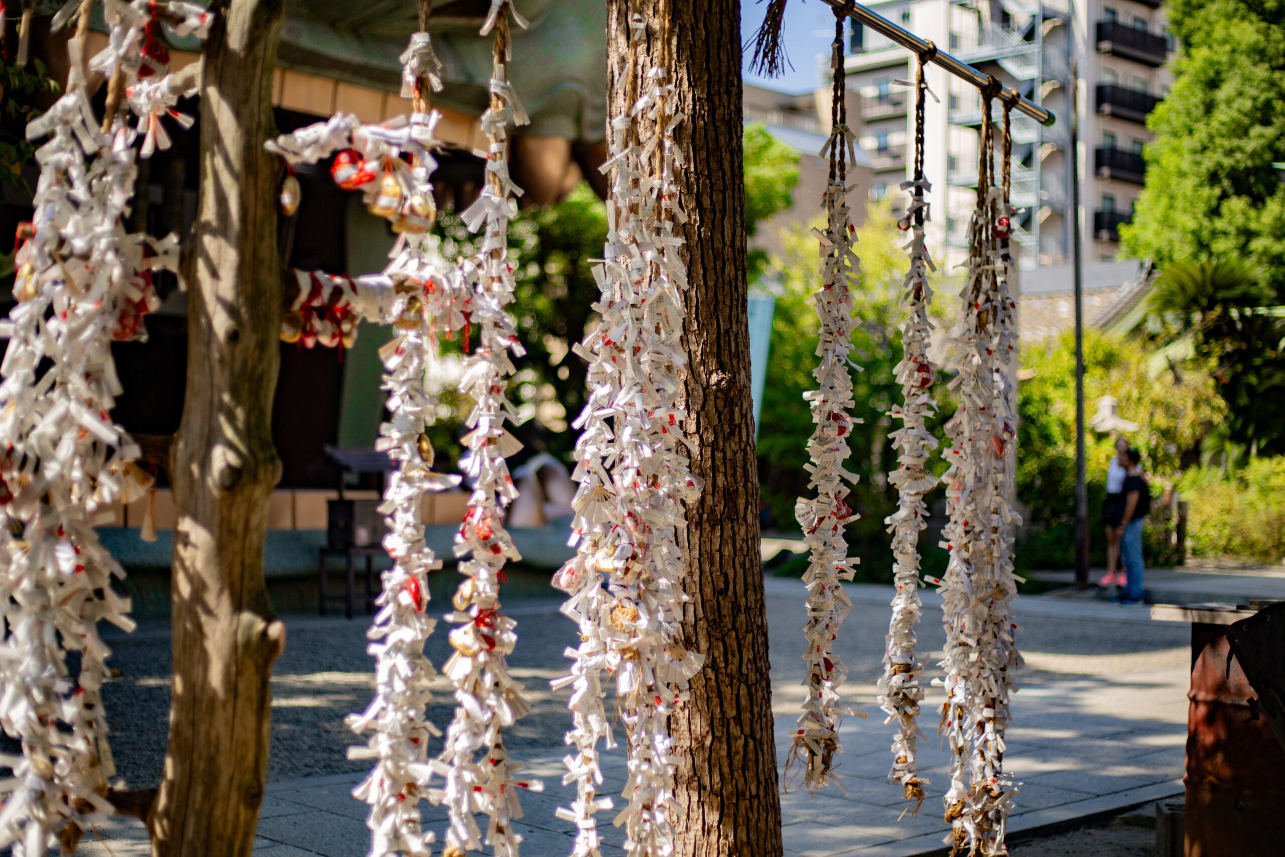 大阪難波八坂神社的御籤