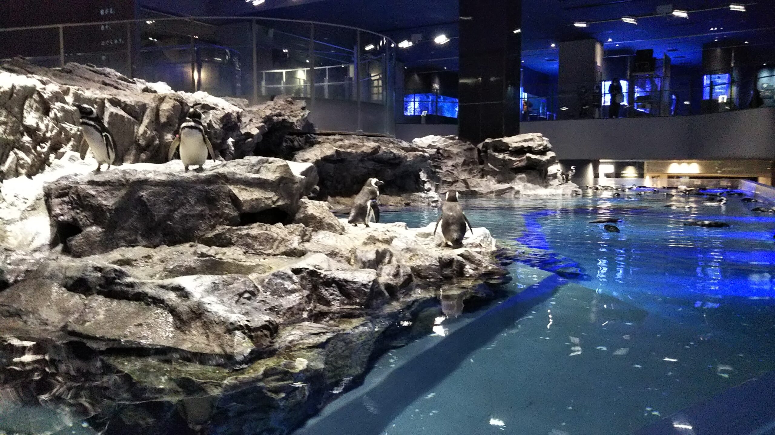 隅田水族館