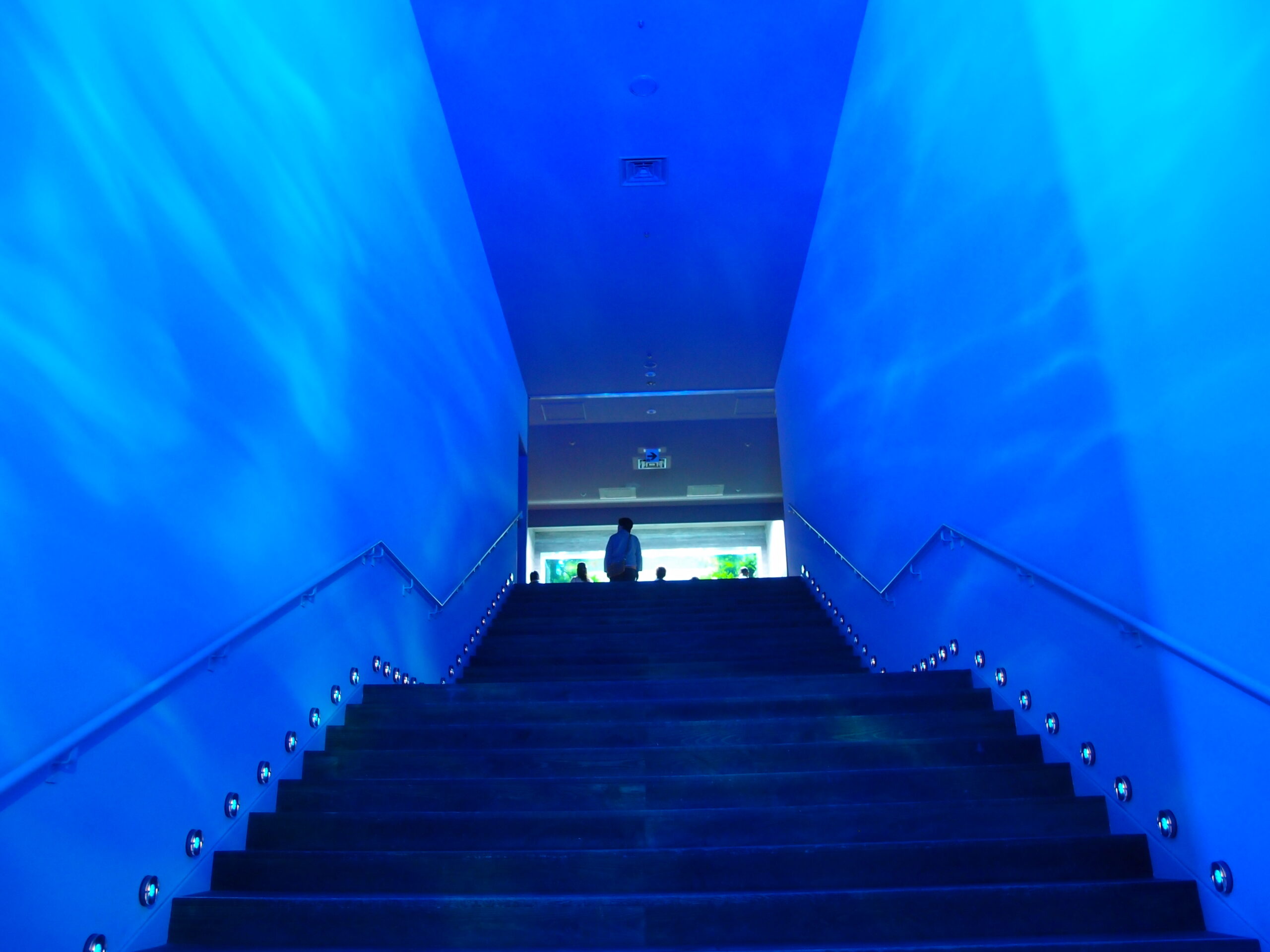 東京晴空塔町水族館