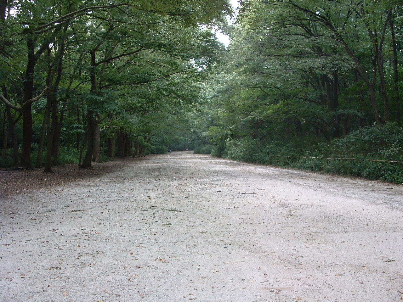 下鴨神社糺之森四季風景
