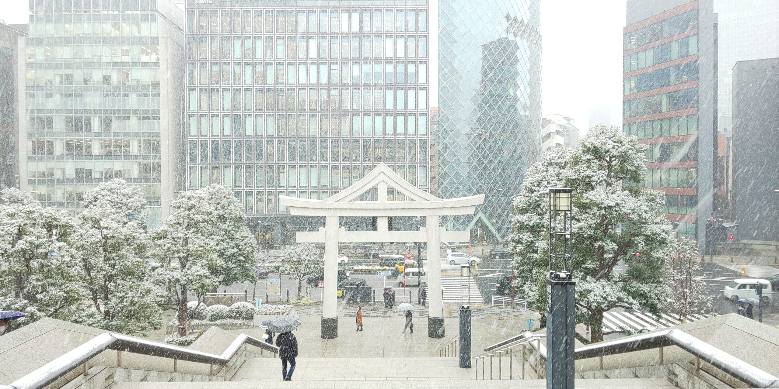 東京日枝神社雪中鳥居