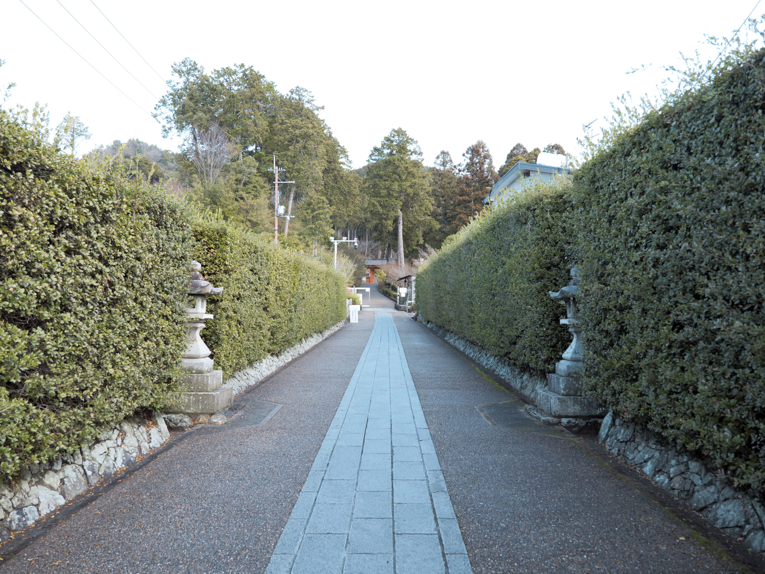 宇治上神社（京都宇治）