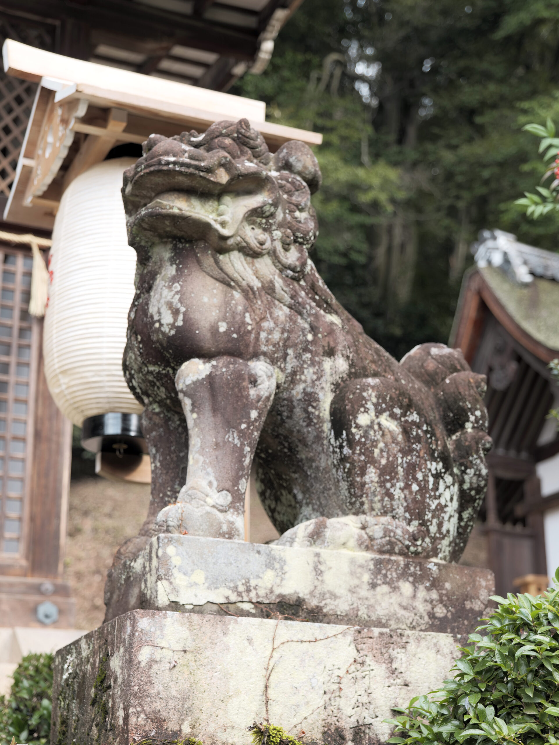 宇治上神社（京都宇治）