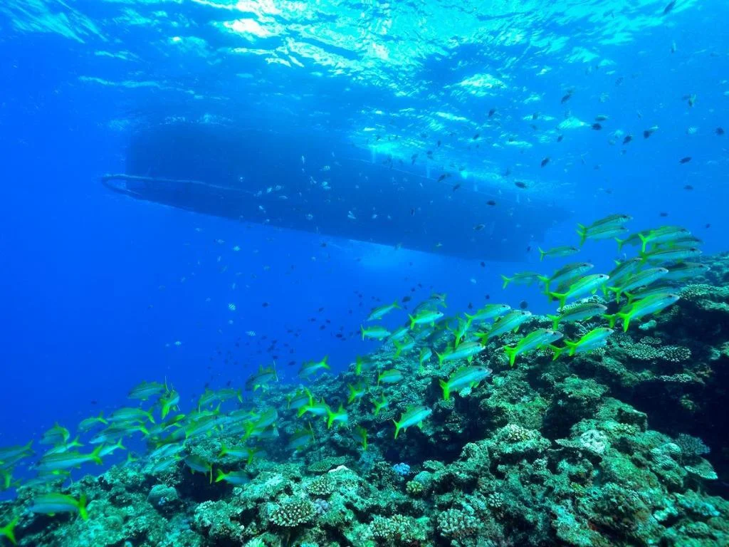 ANA InterContinental Manza Beach Resort 沖繩住宿照片 (5)