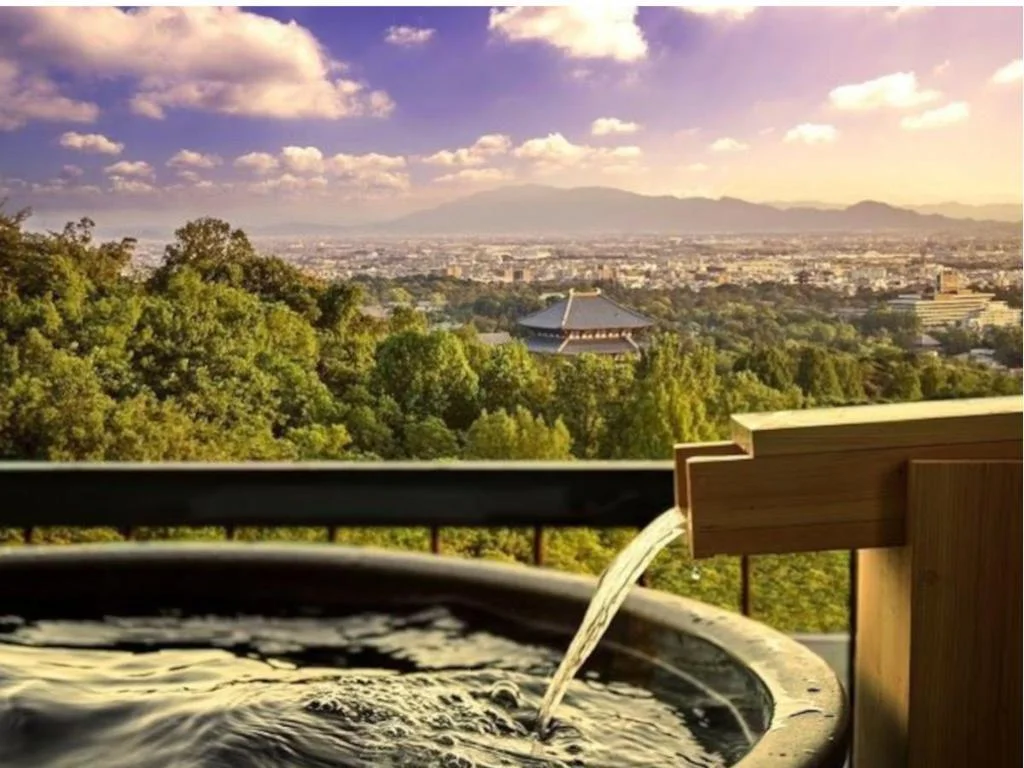 ANDO HOTEL Nara Wakakusayama 奈良住宿照片 (4)