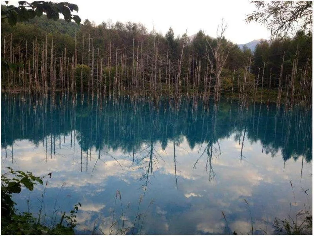 Asahidake Onsen Yumoto Yukomansou 旭川住宿照片 (5)