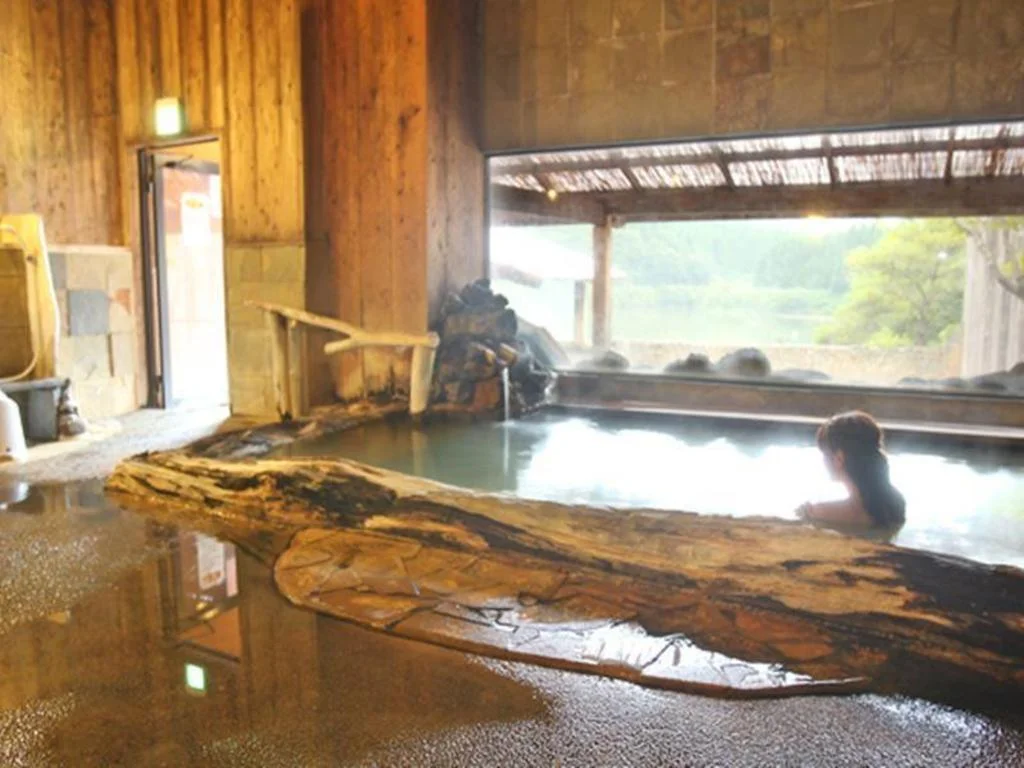 Aso Baien Spa Resort 阿蘇住宿照片 (3)