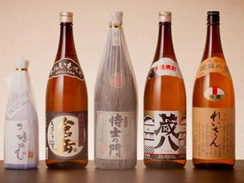 Aso Hotel 阿蘇住宿照片 (4)