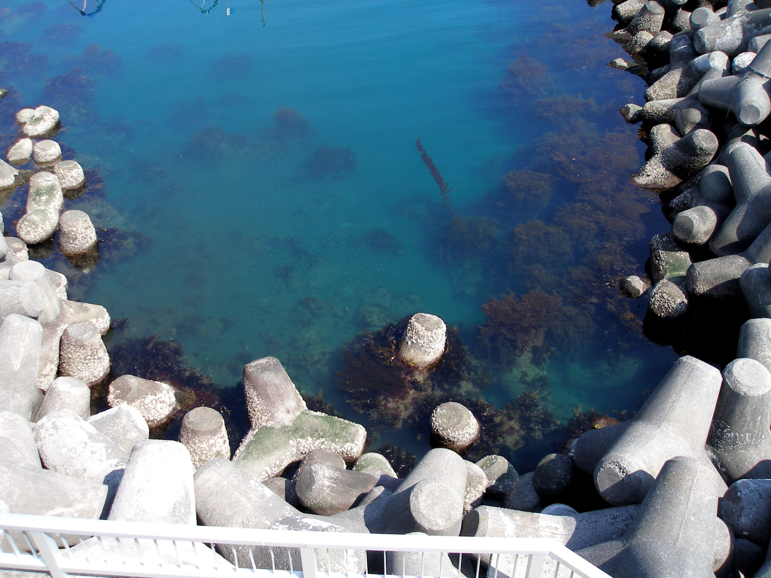 Atami Sun Beach - panoramio
